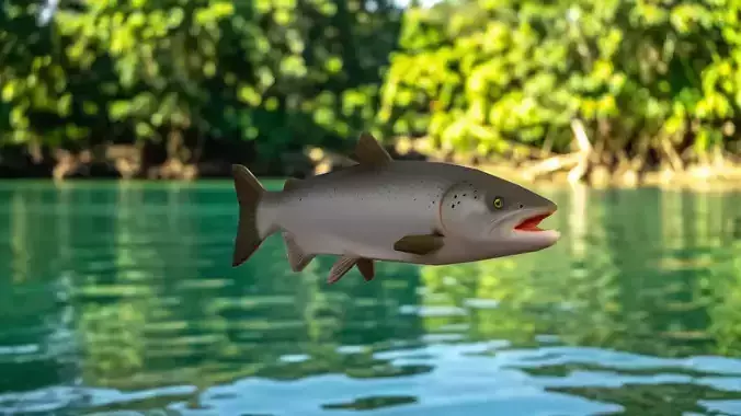 Realistic 3D Salmon Model