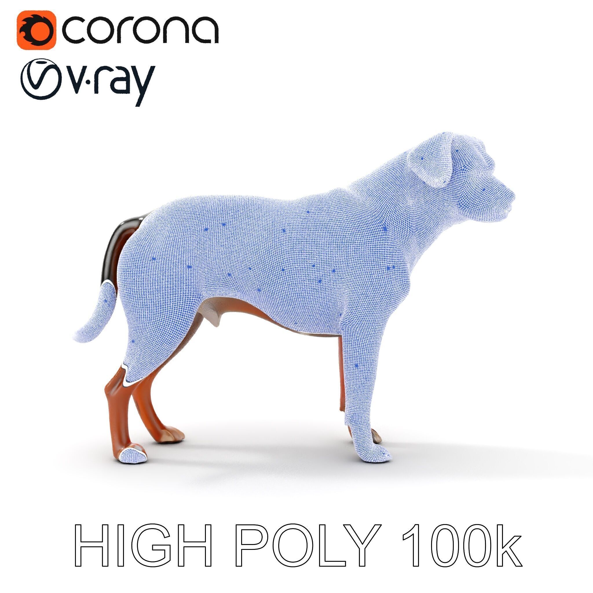 Realistic Dog Model Pack for Various Applications Low-poly 3D model_27