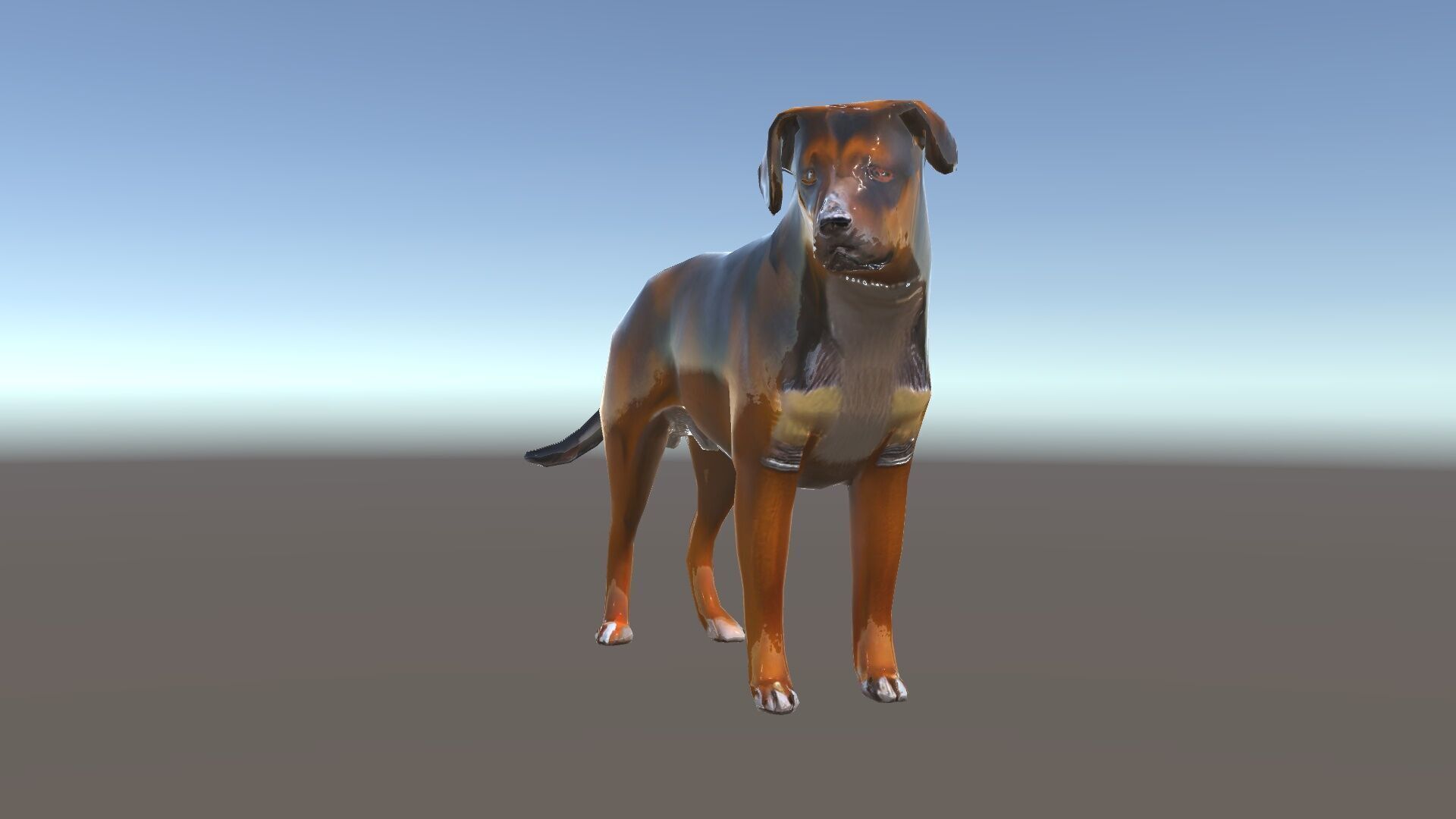 Realistic Dog Model Pack for Various Applications Low-poly 3D model_10