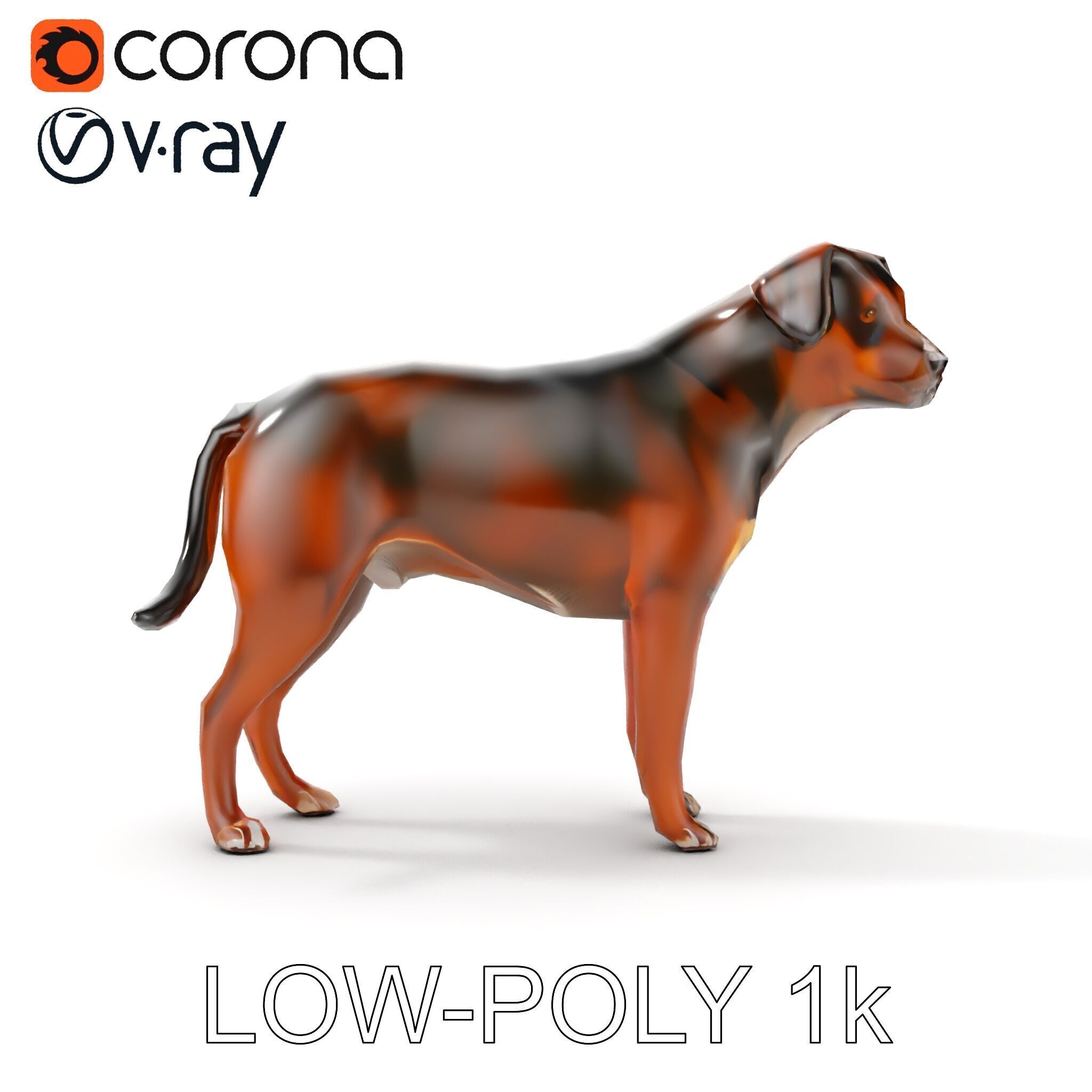 Realistic Dog Model Pack for Various Applications Low-poly 3D model_20