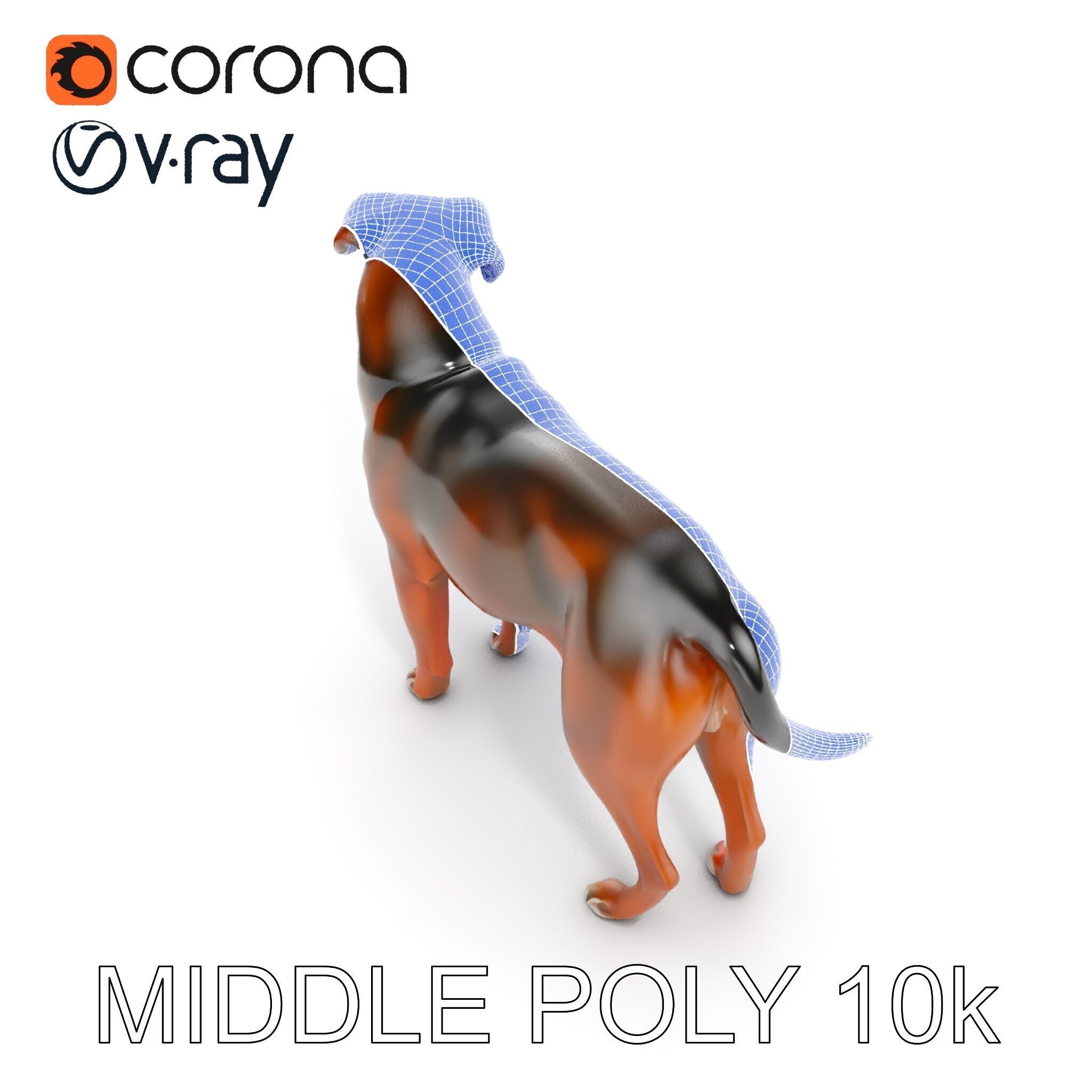 Realistic Dog Model Pack for Various Applications Low-poly 3D model_31