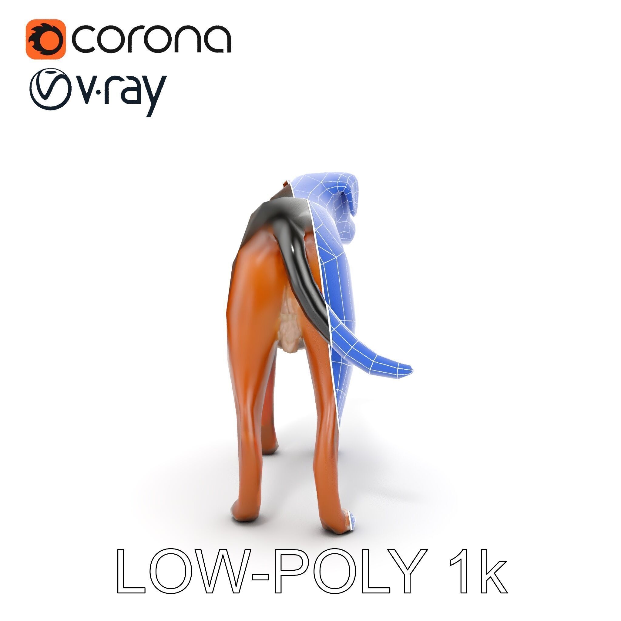 Realistic Dog Model Pack for Various Applications Low-poly 3D model_29