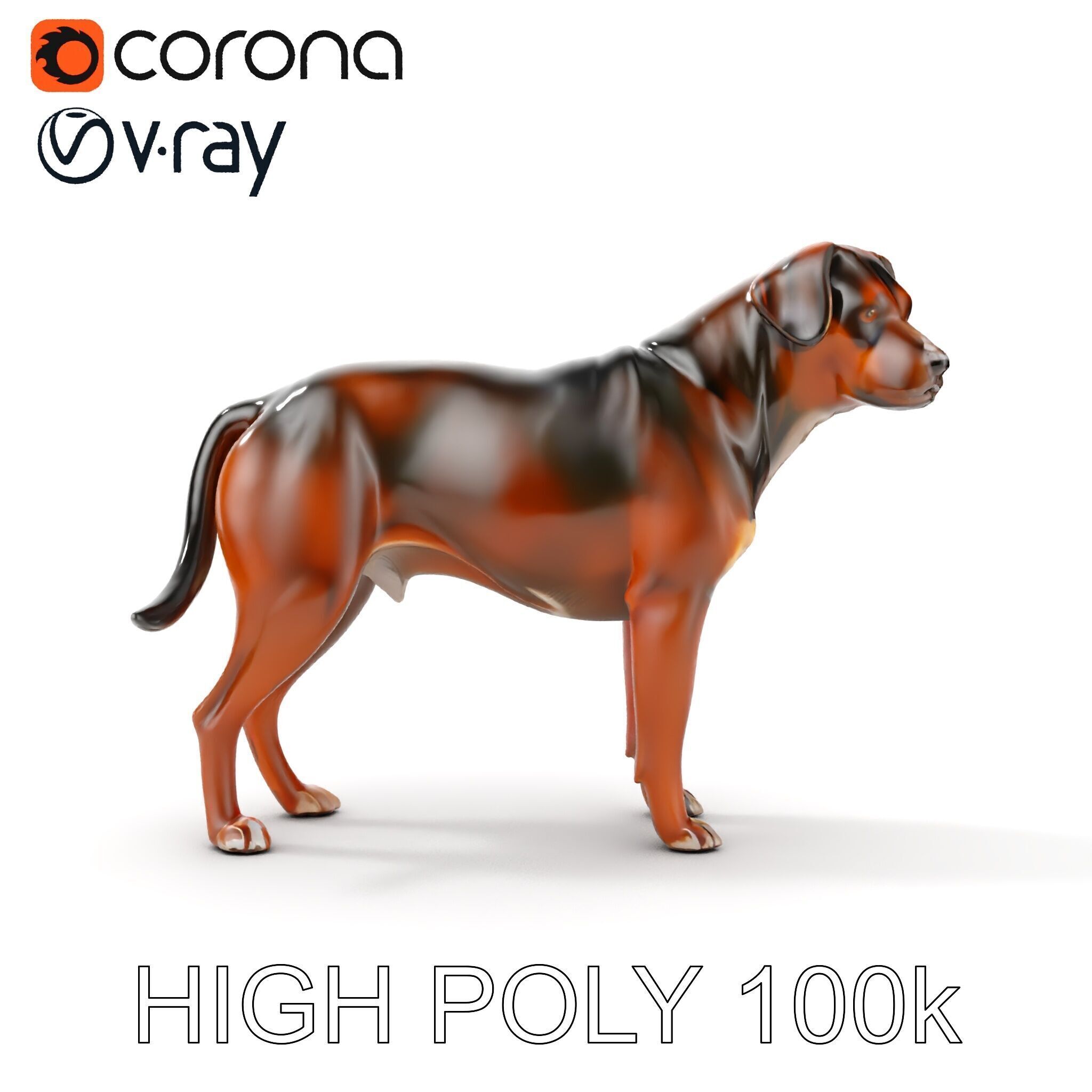 Realistic Dog Model Pack for Various Applications Low-poly 3D model_18