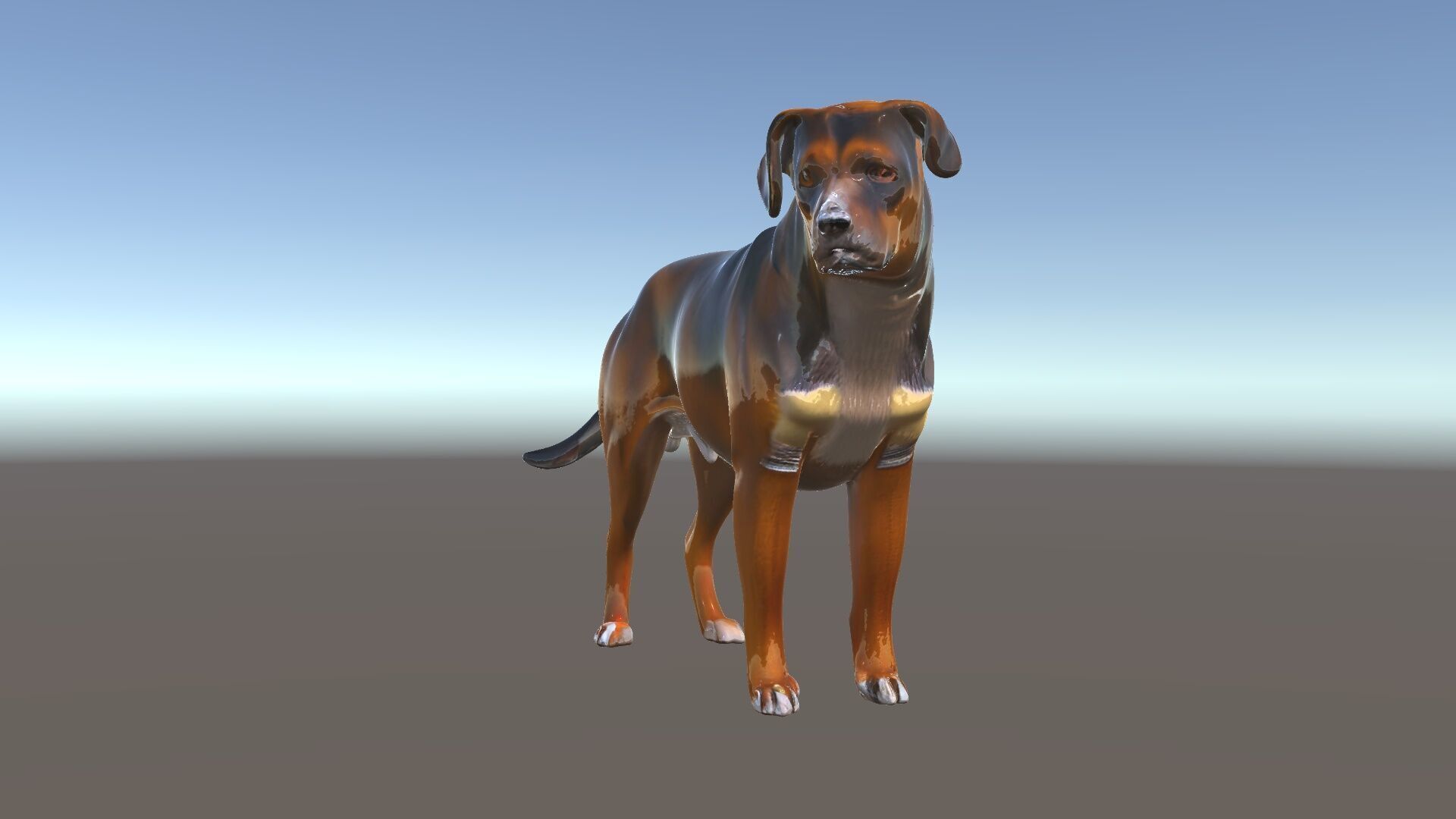 Realistic Dog Model Pack for Various Applications Low-poly 3D model_6