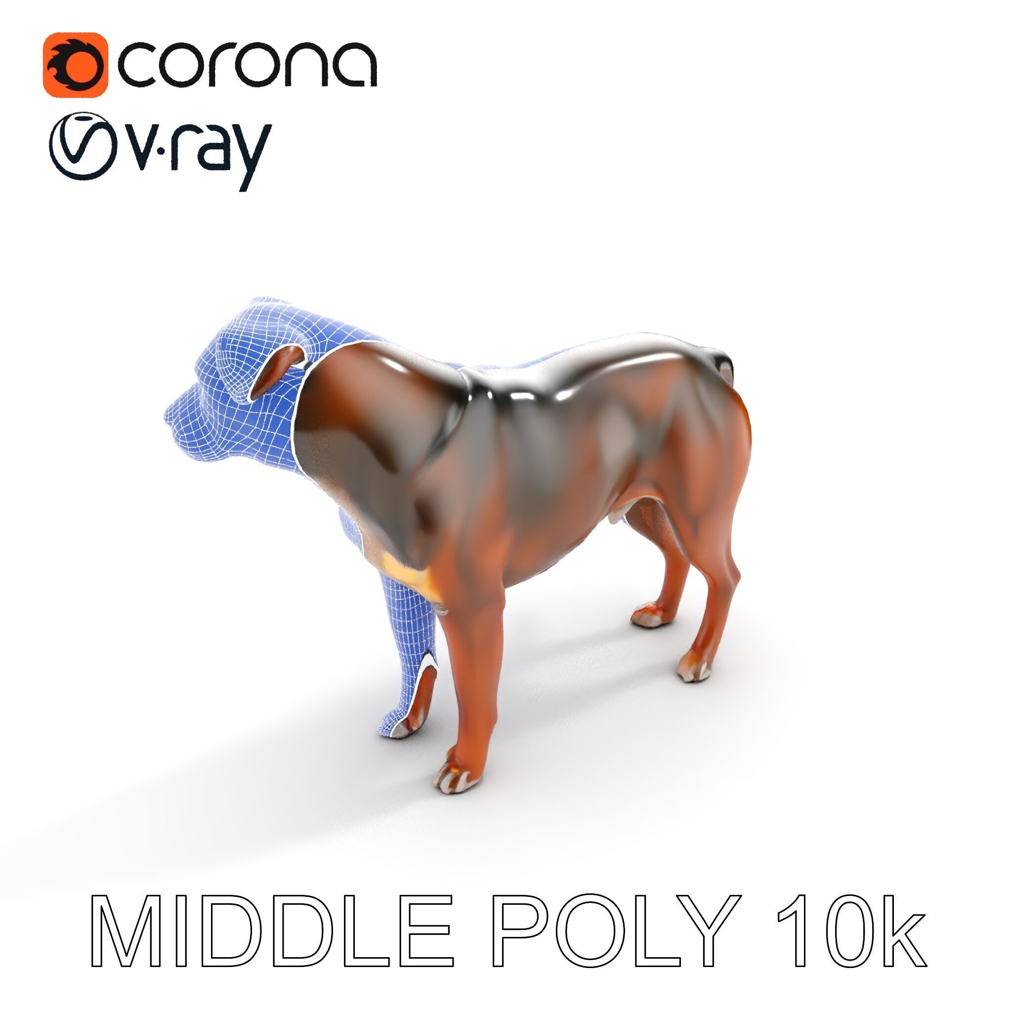 Realistic Dog Model Pack for Various Applications Low-poly 3D model_13