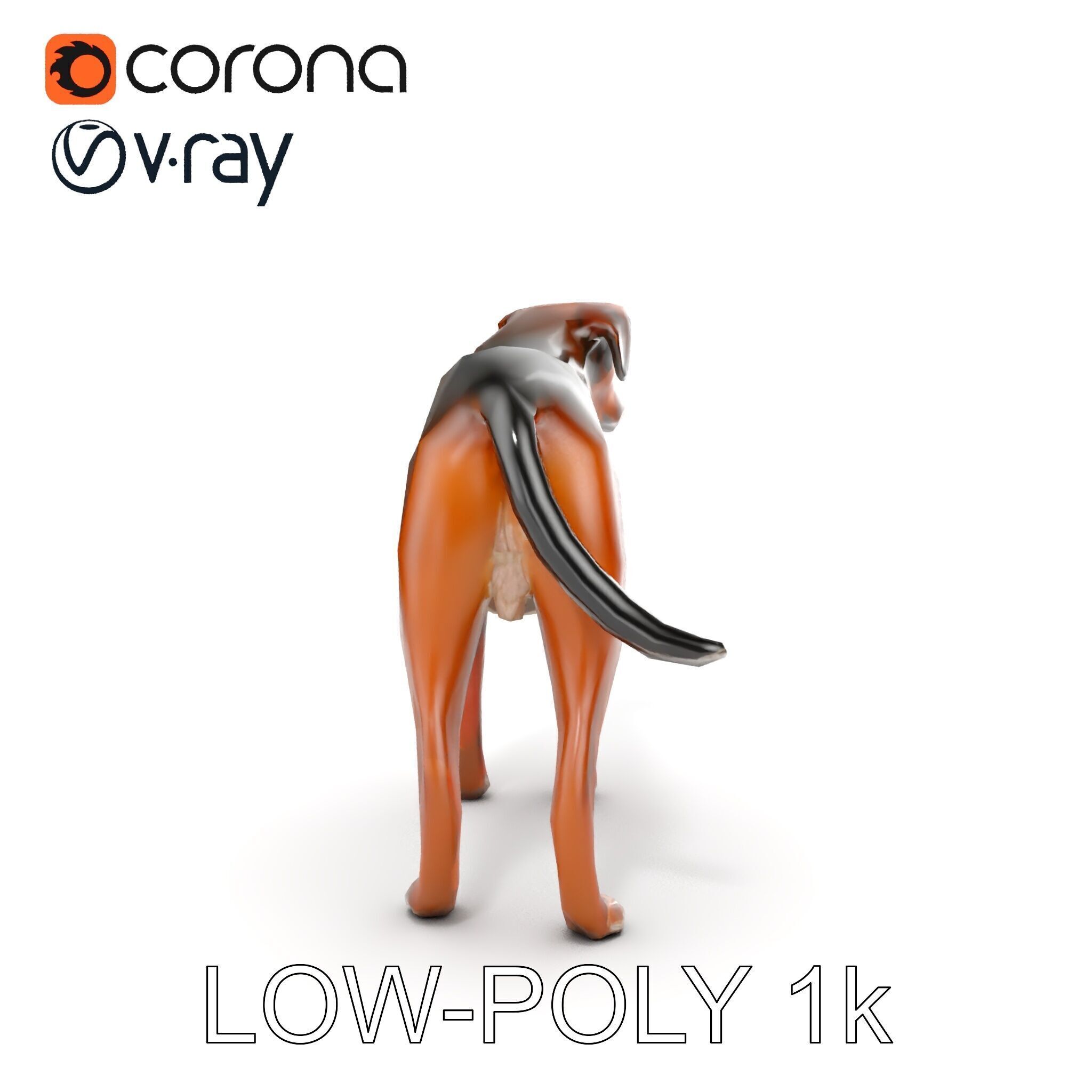 Realistic Dog Model Pack for Various Applications Low-poly 3D model_23