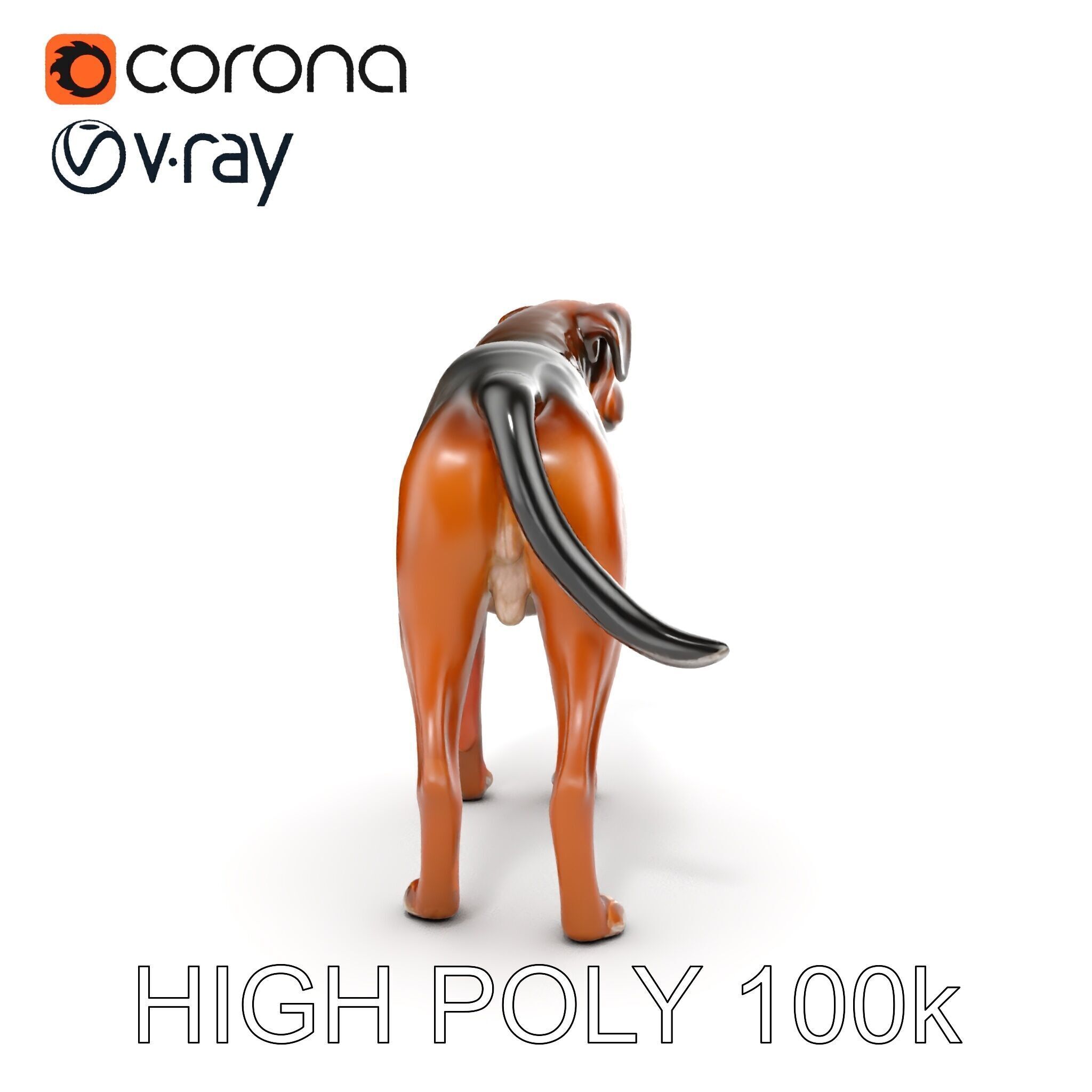 Realistic Dog Model Pack for Various Applications Low-poly 3D model_33