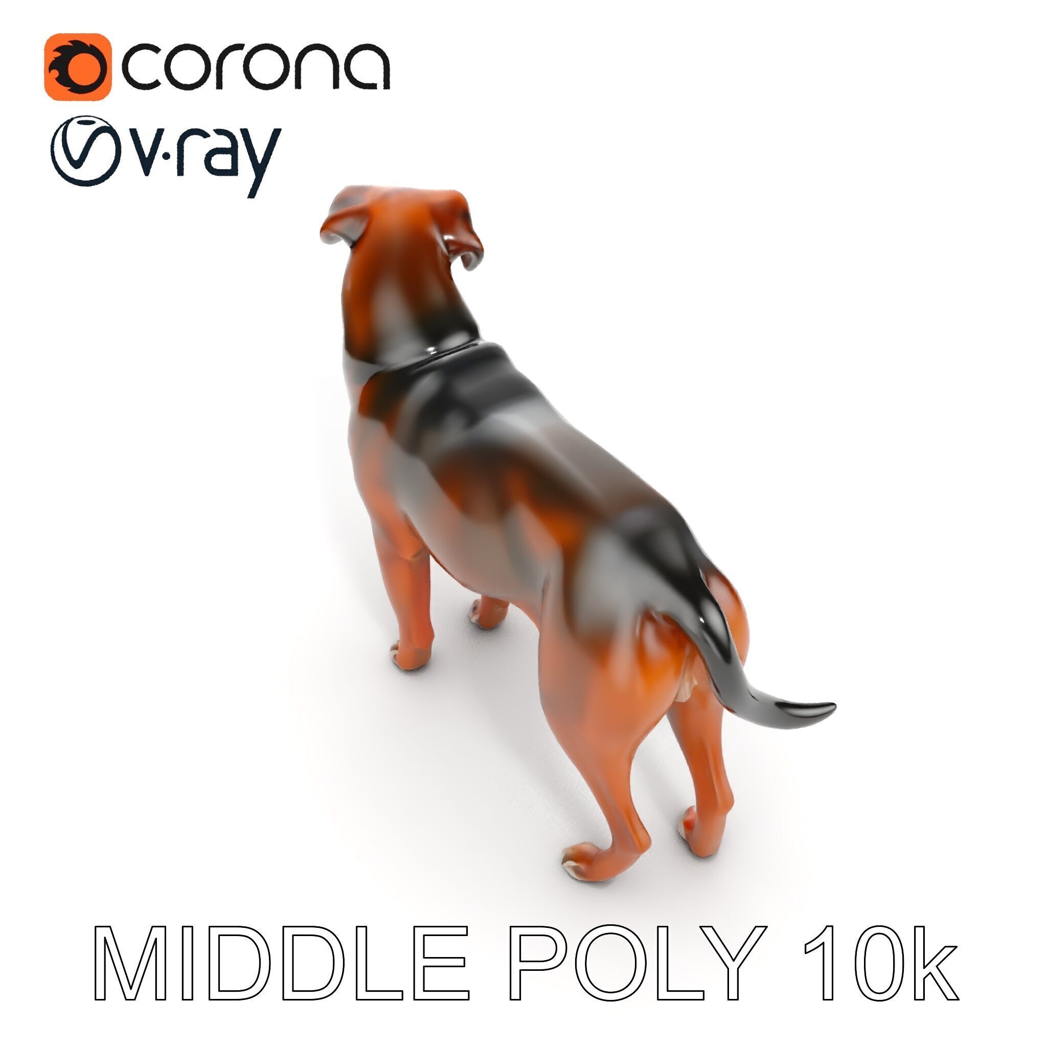 Realistic Dog Model Pack for Various Applications Low-poly 3D model_28