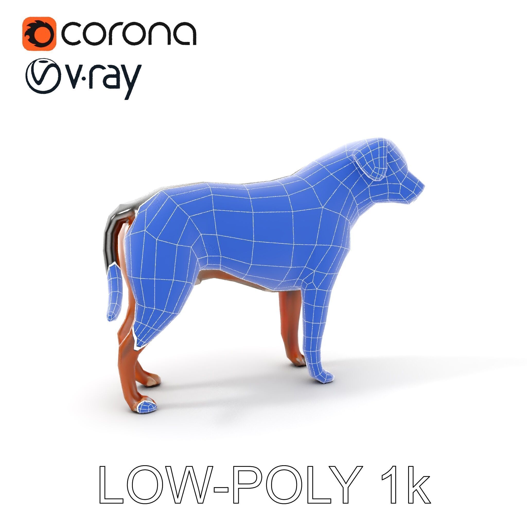 Realistic Dog Model Pack for Various Applications Low-poly 3D model_8