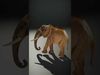 Elephant Model Pack  Detailed D Animal Render Low-poly 3D model_2