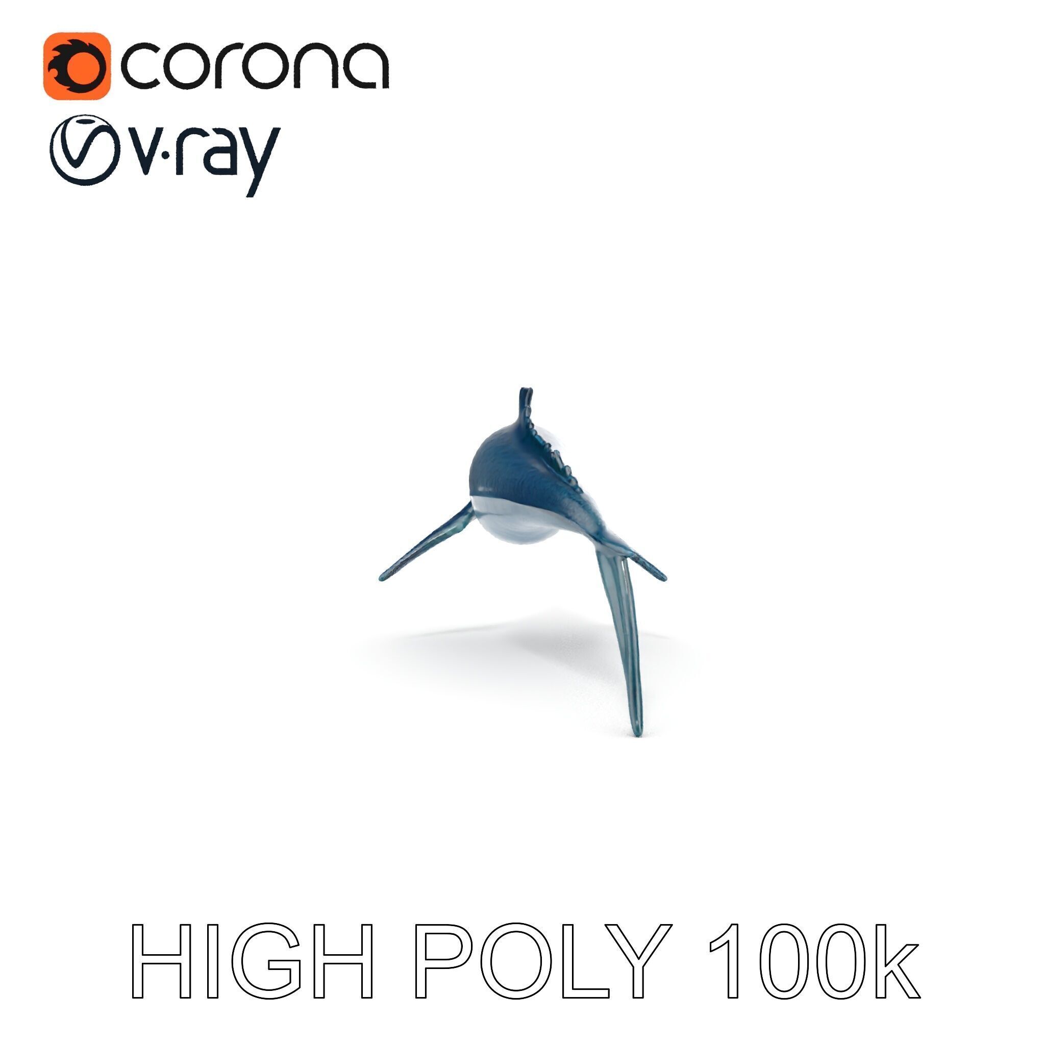 Prehistoric Marine Reptile Model Pack Low-poly 3D model_16