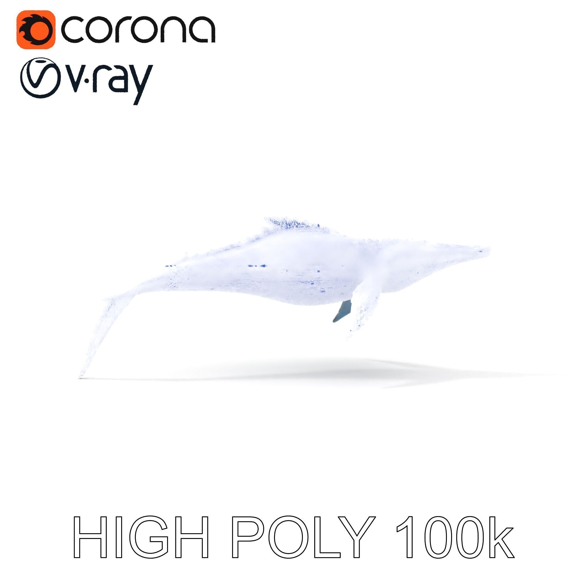 Prehistoric Marine Reptile Model Pack Low-poly 3D model_7