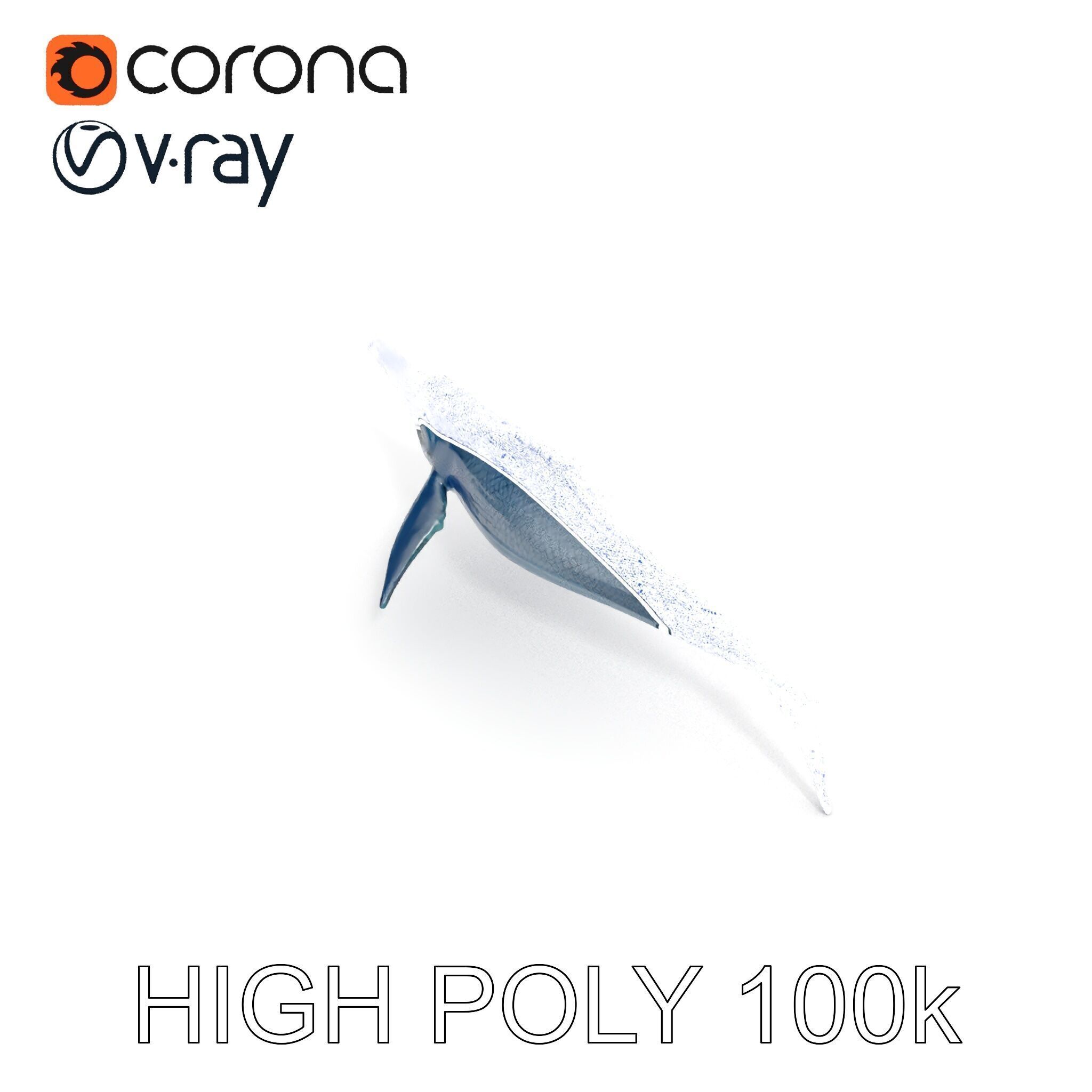 Prehistoric Marine Reptile Model Pack Low-poly 3D model_12