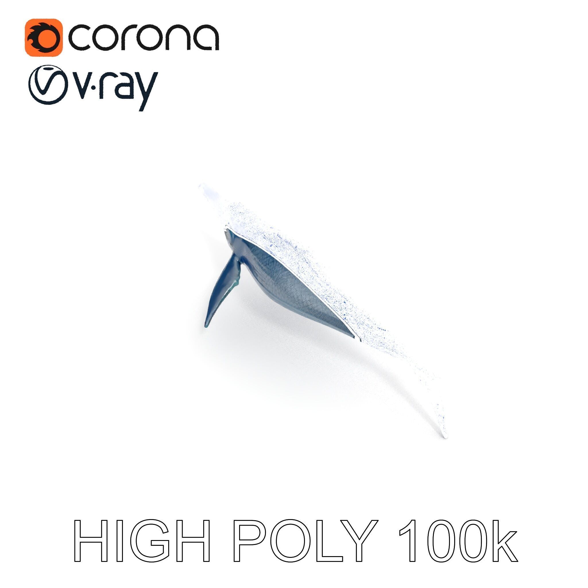 Prehistoric Marine Reptile Model Pack Low-poly 3D model_24