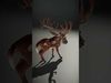 Fantasy Mystical Deer Model Pack Low-poly 3D model_2
