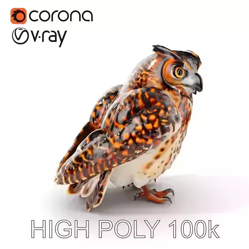Detailed Owl Model Pack for Rendering and Games