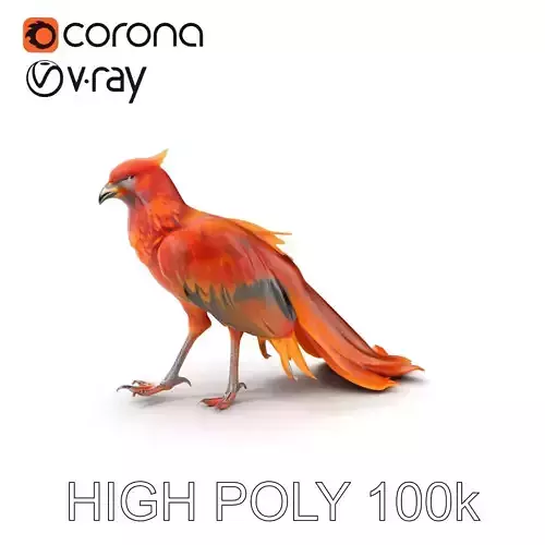 Exotic Bird D Model Pack with Detailed Plumage