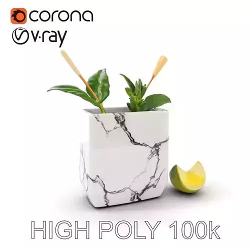 Marble Planter with Lime Slice Model Pack