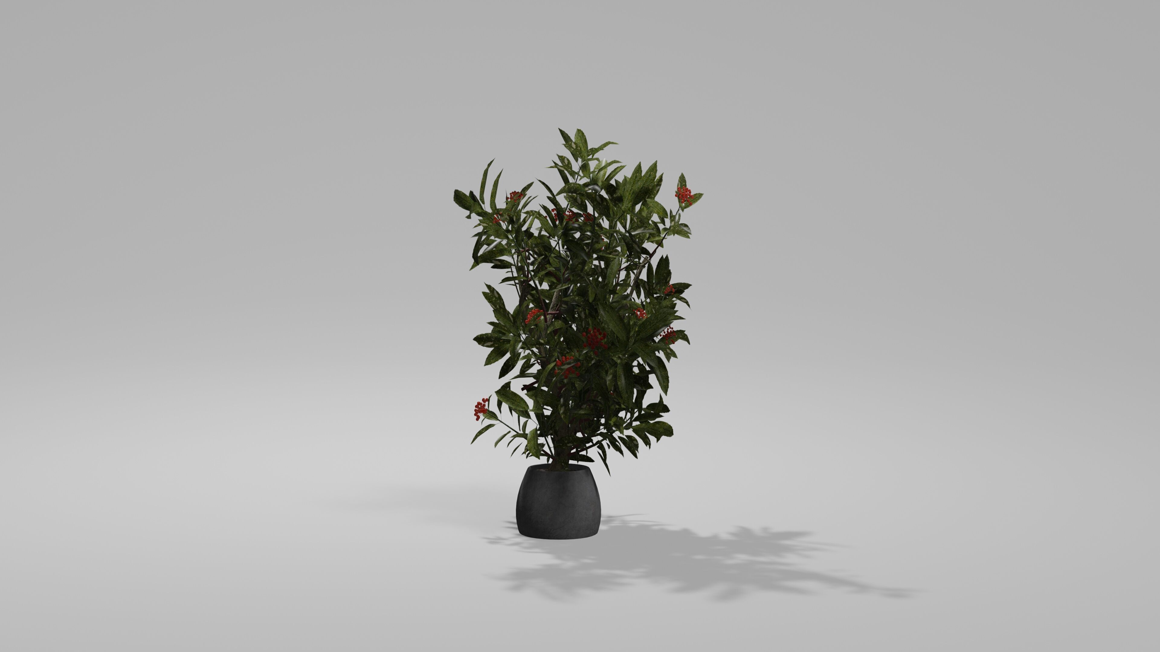 Bushes Pack Blender 3D model_3
