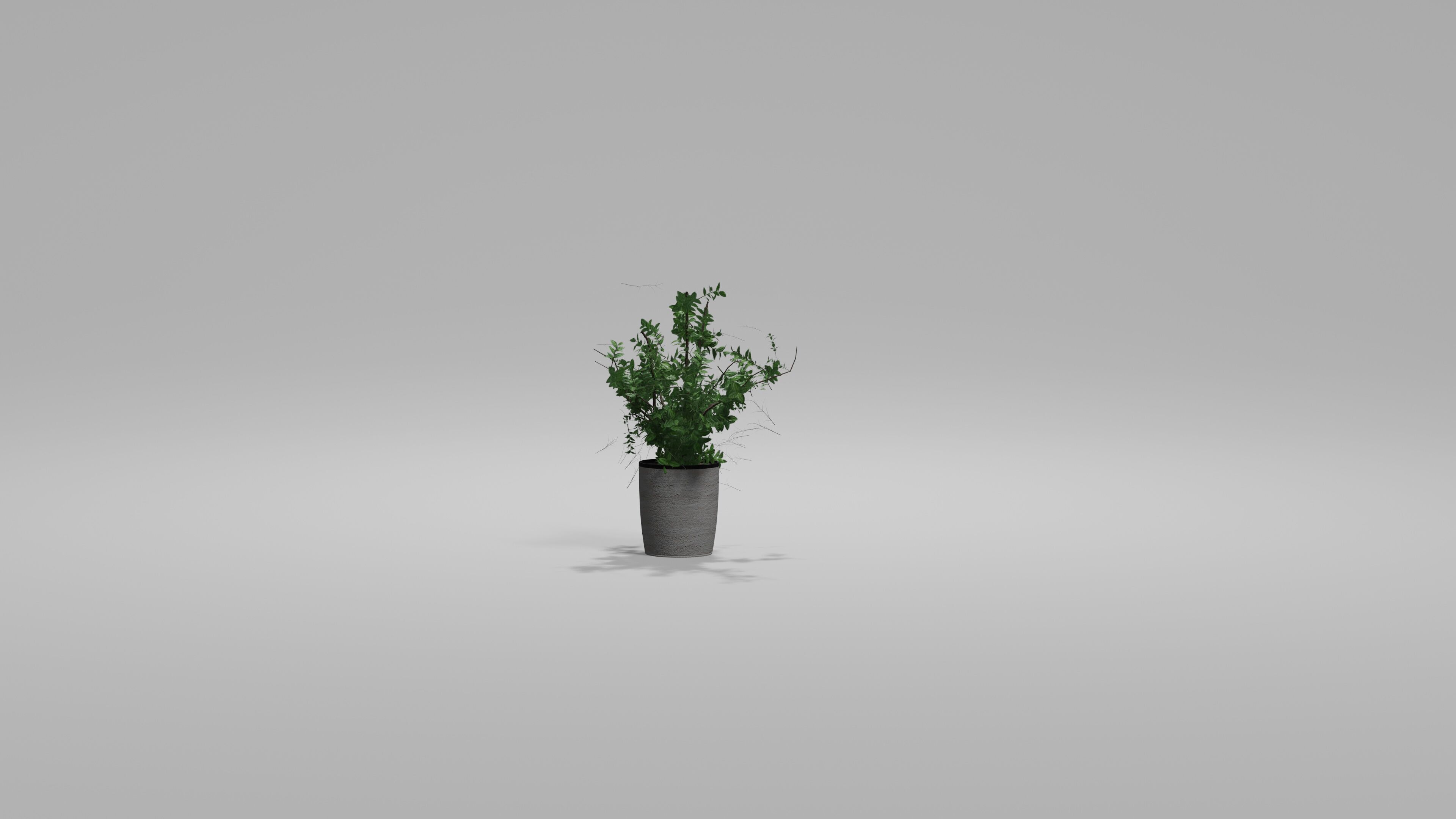 Bushes Pack Blender 3D model_10