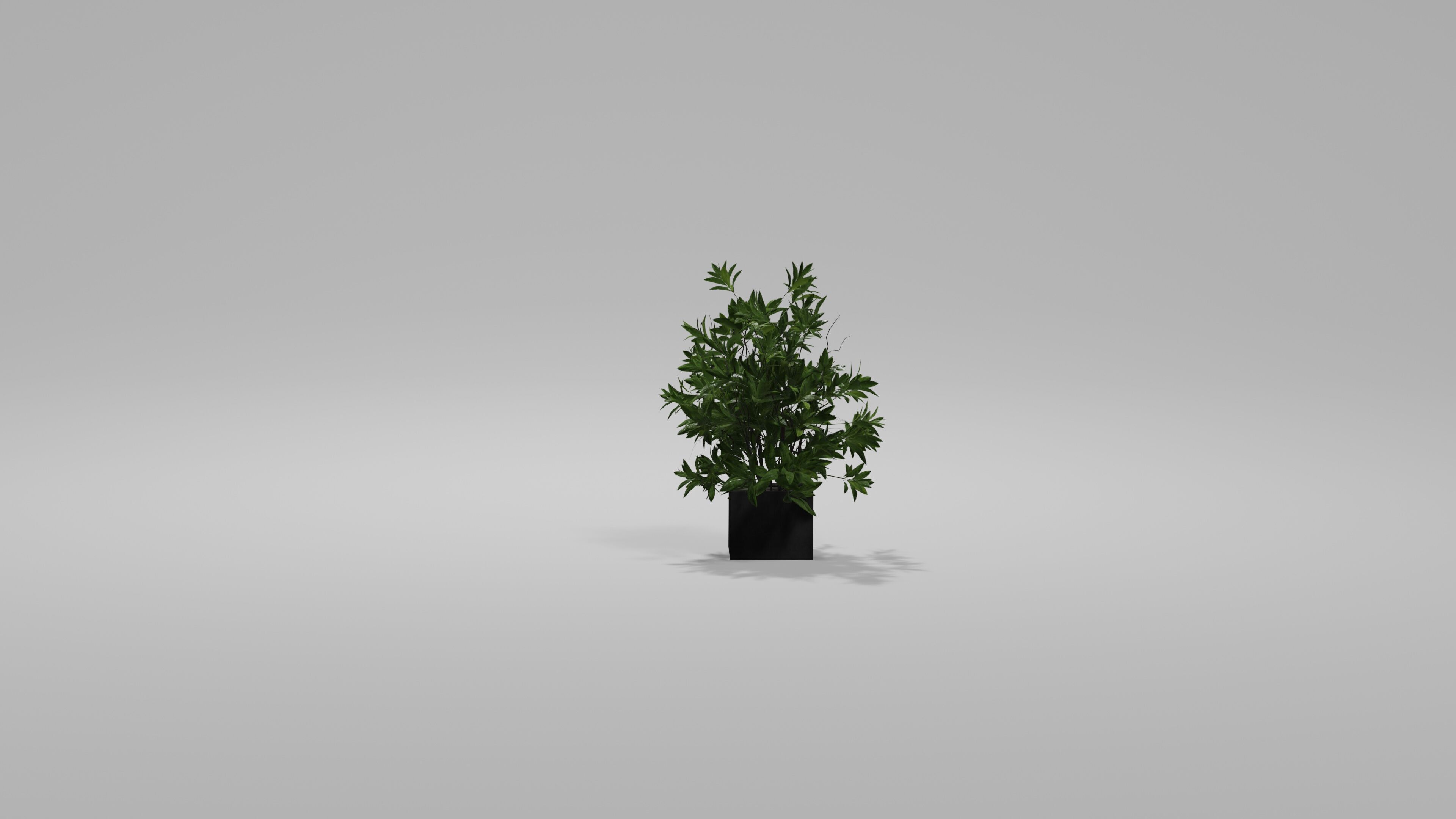 Bushes Pack Blender 3D model_8
