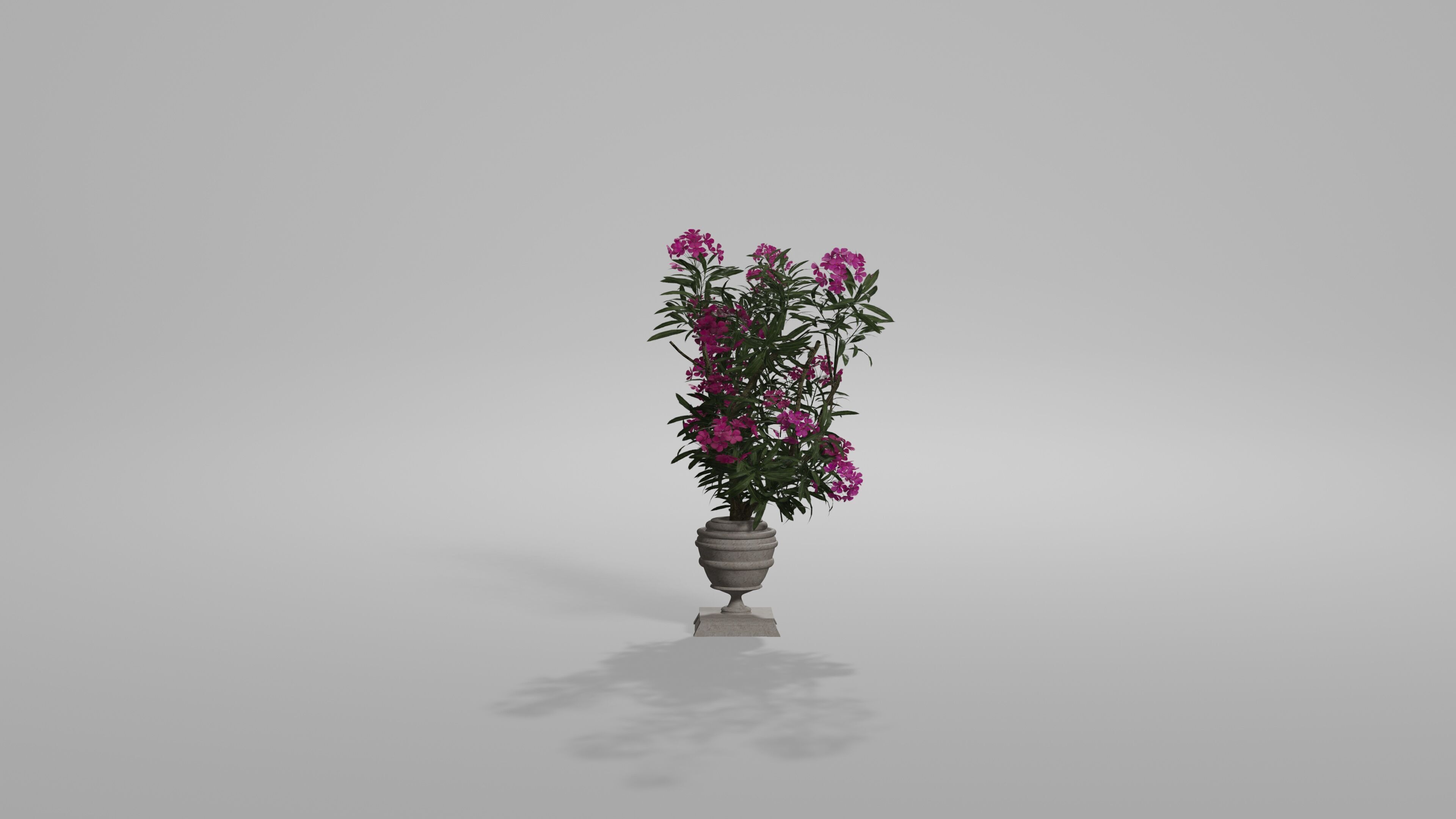 Bushes Pack Blender 3D model_1