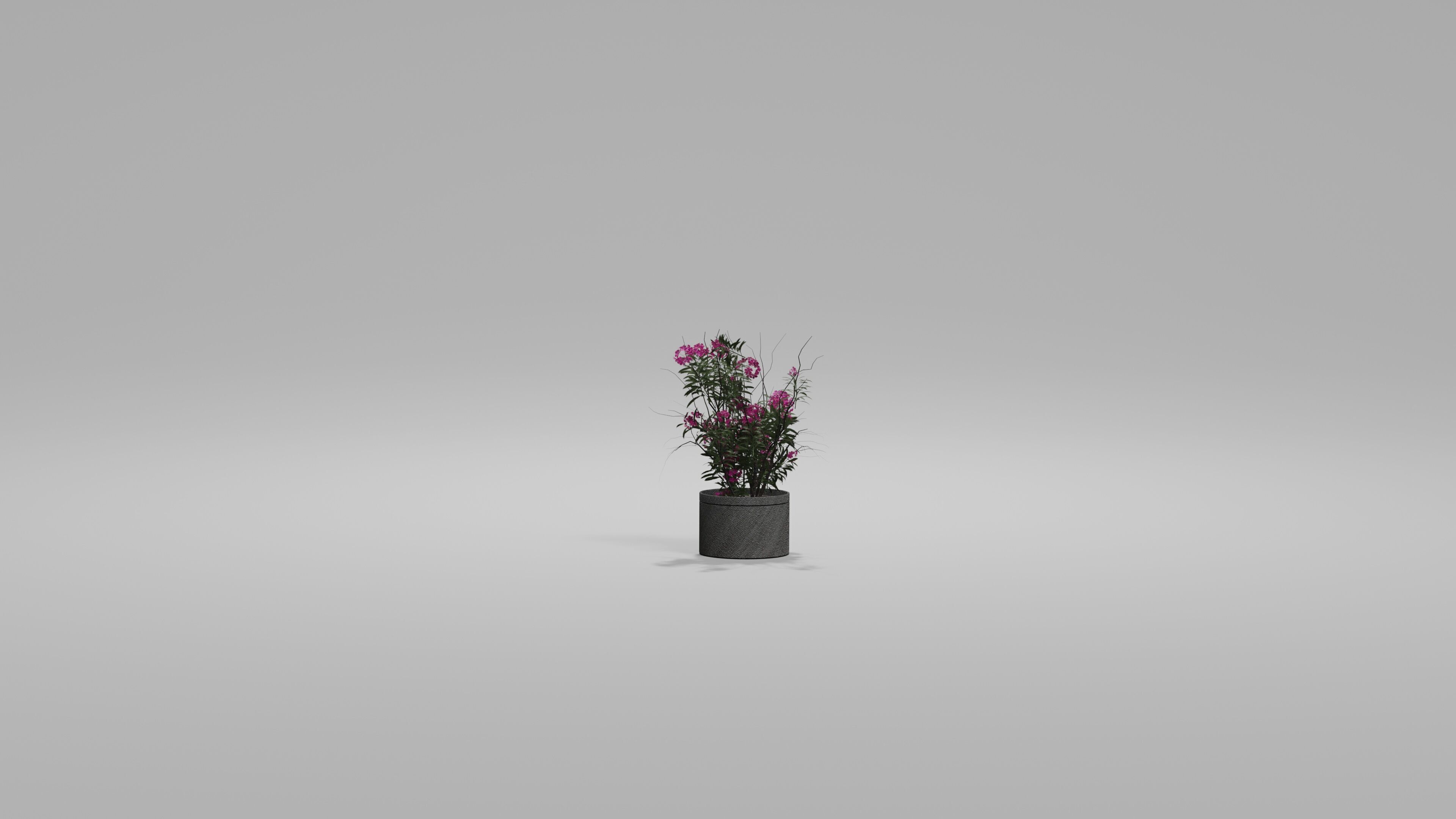 Bushes Pack Blender 3D model_7