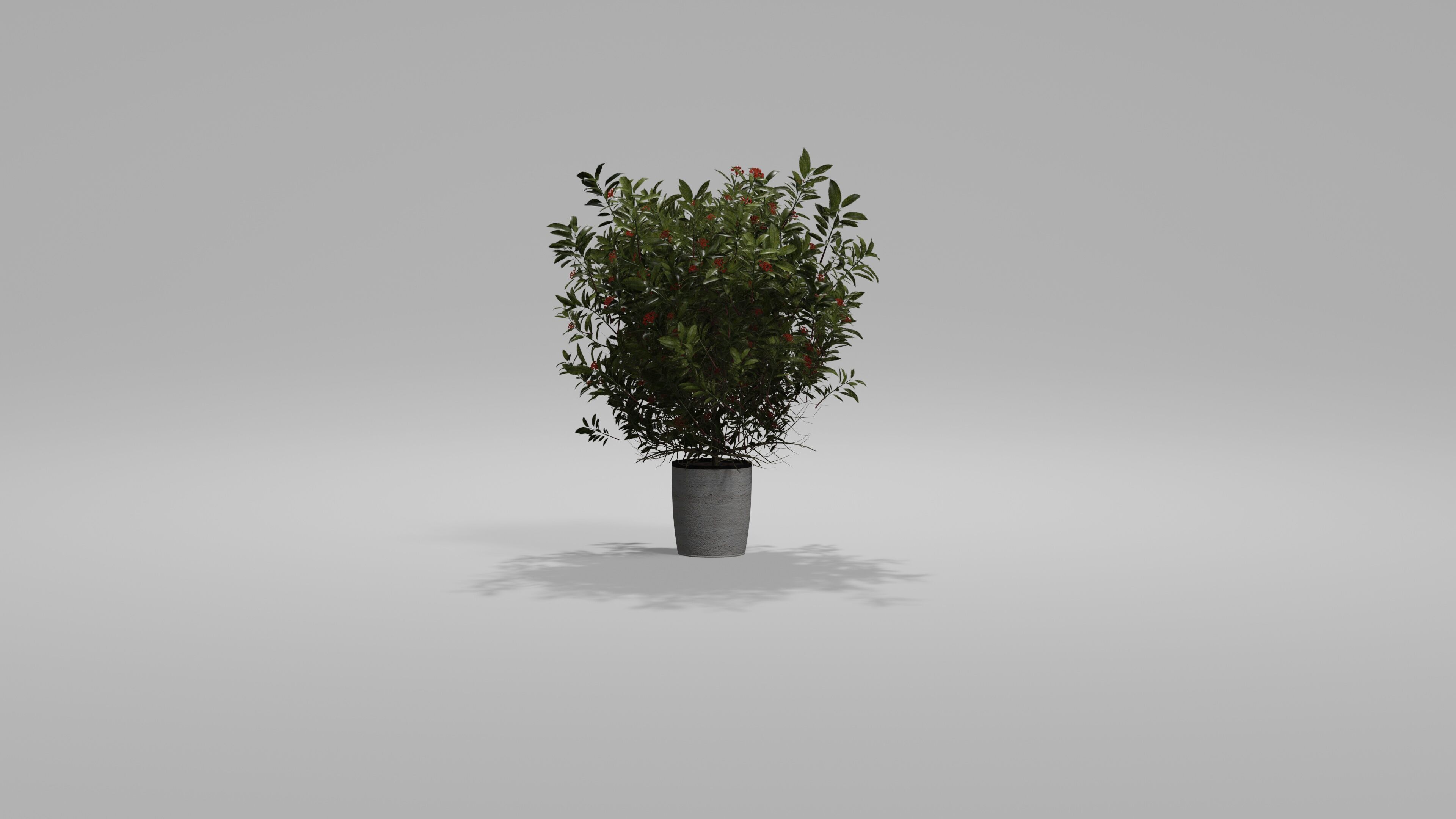 Bushes Pack Blender 3D model_6
