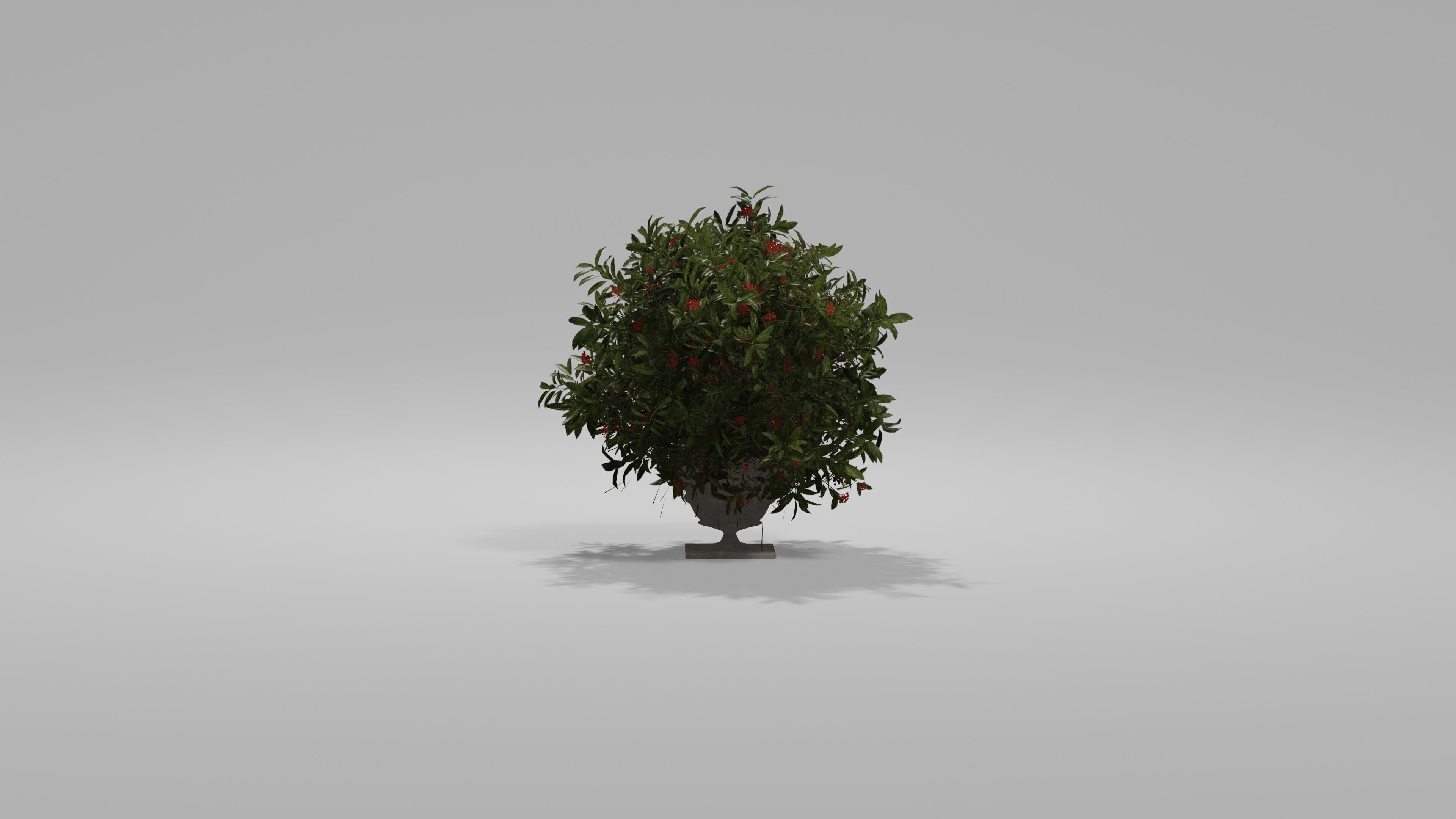 Bushes Pack Blender 3D model_4