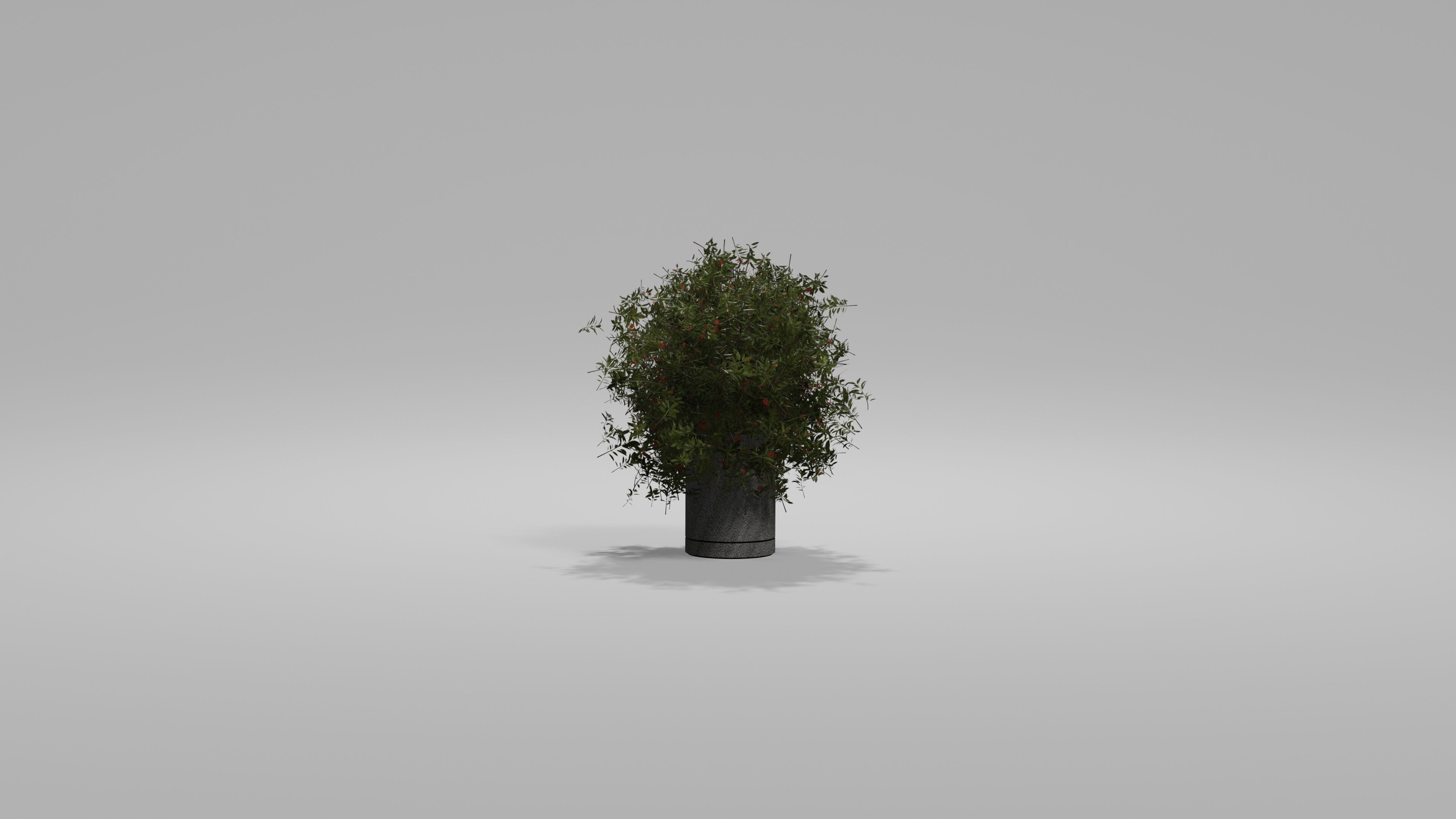 Bushes Pack Blender 3D model_5