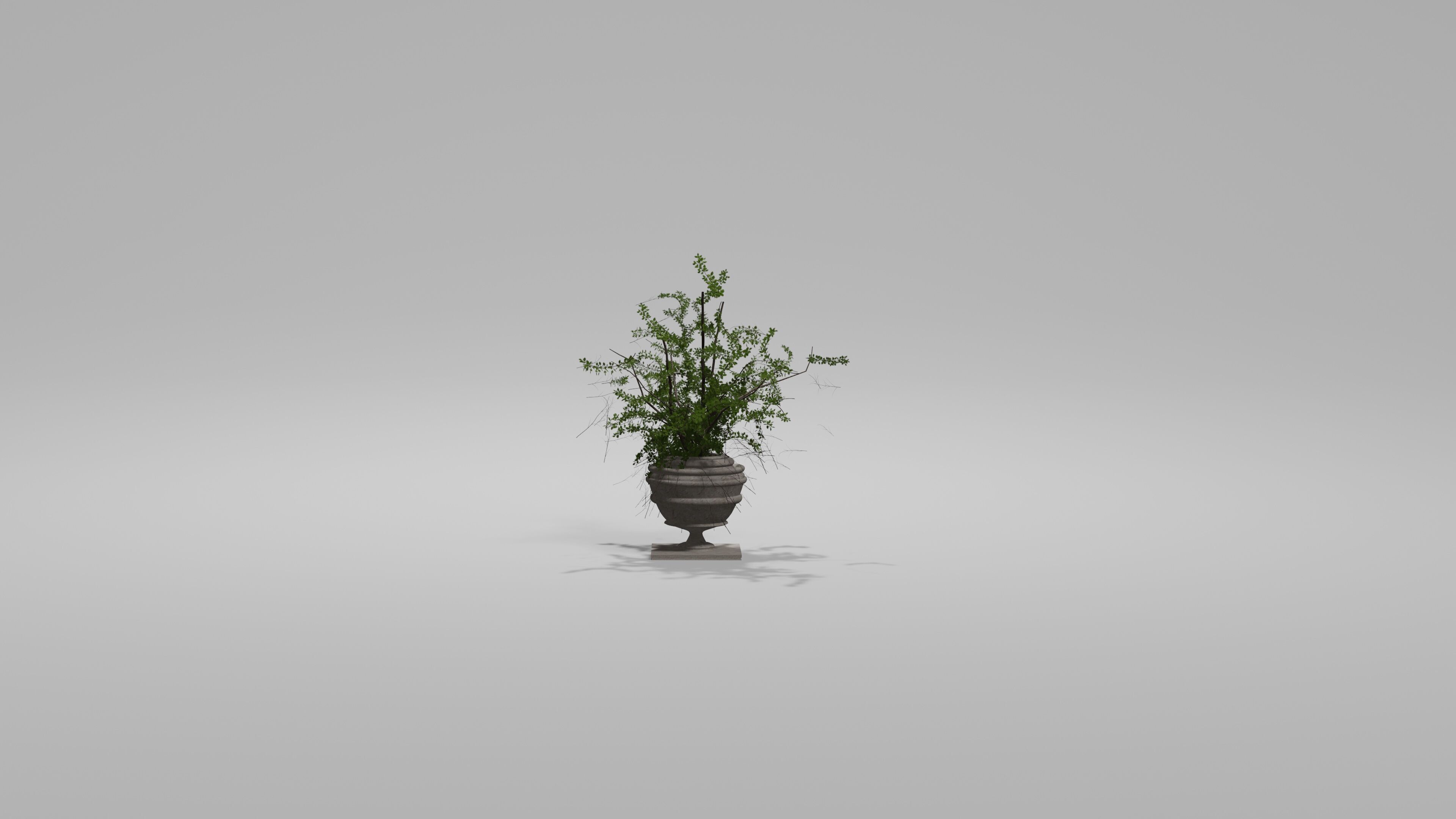 Bushes Pack Blender 3D model_9