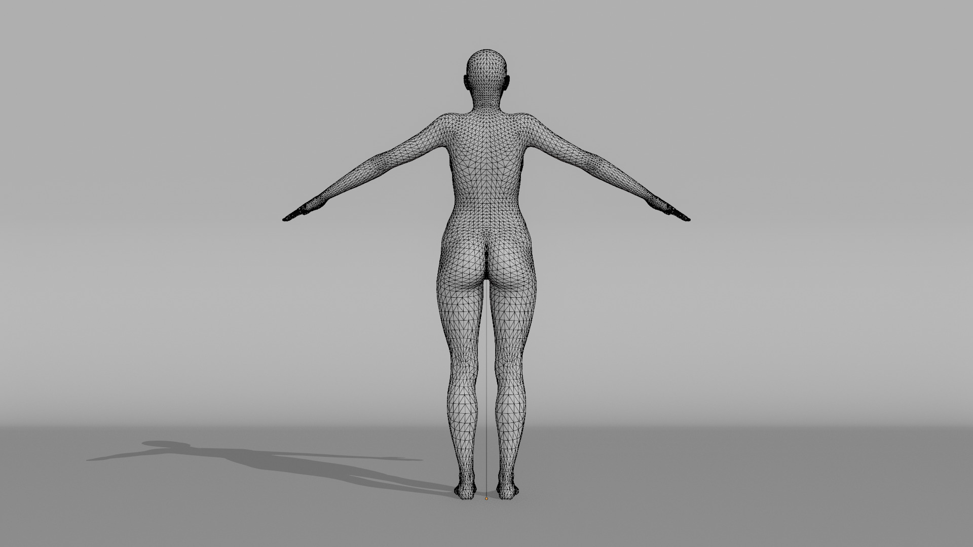 Realistic - Women Base Mesh 3D model_22