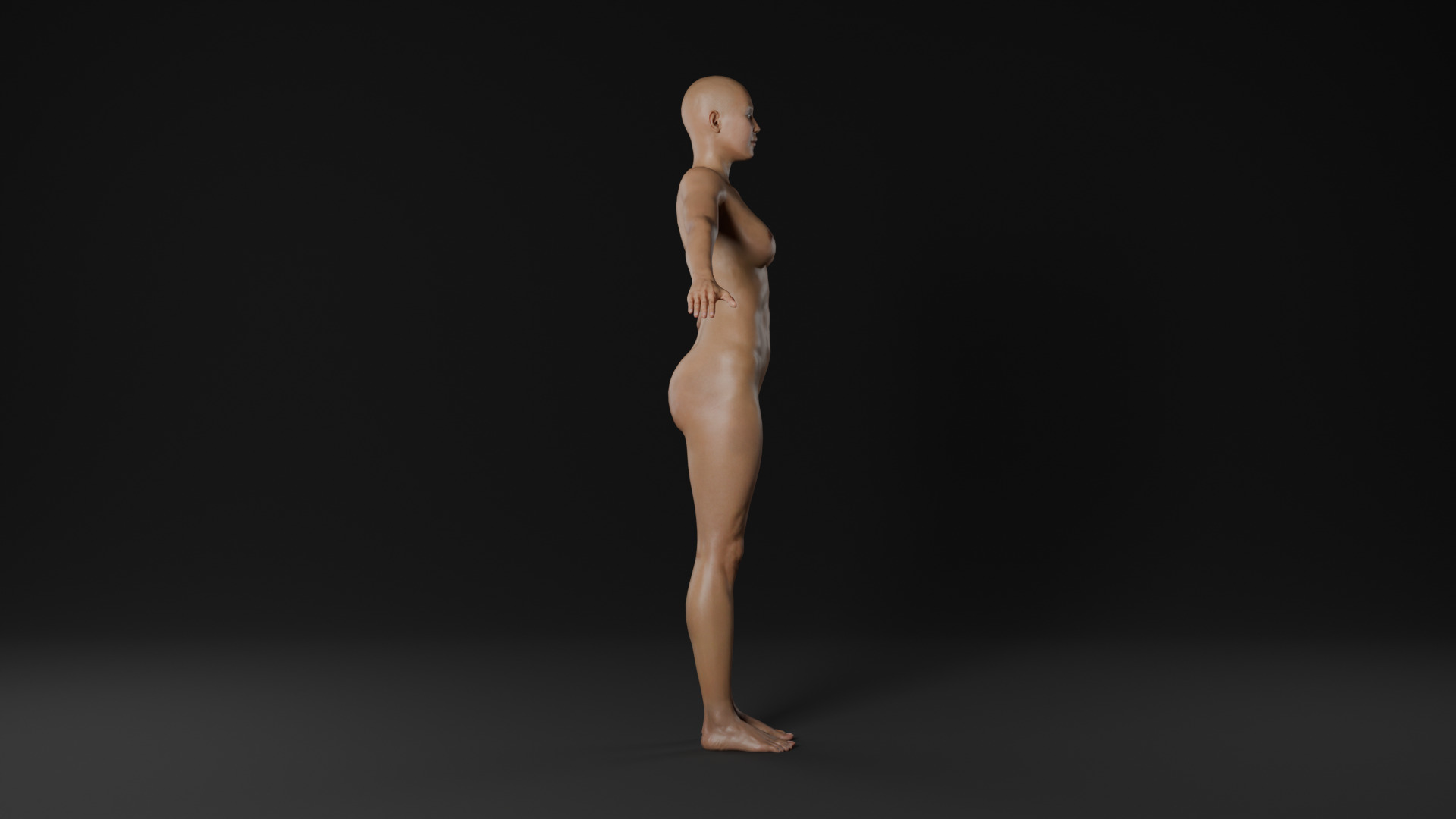 Realistic - Women Base Mesh 3D model_3