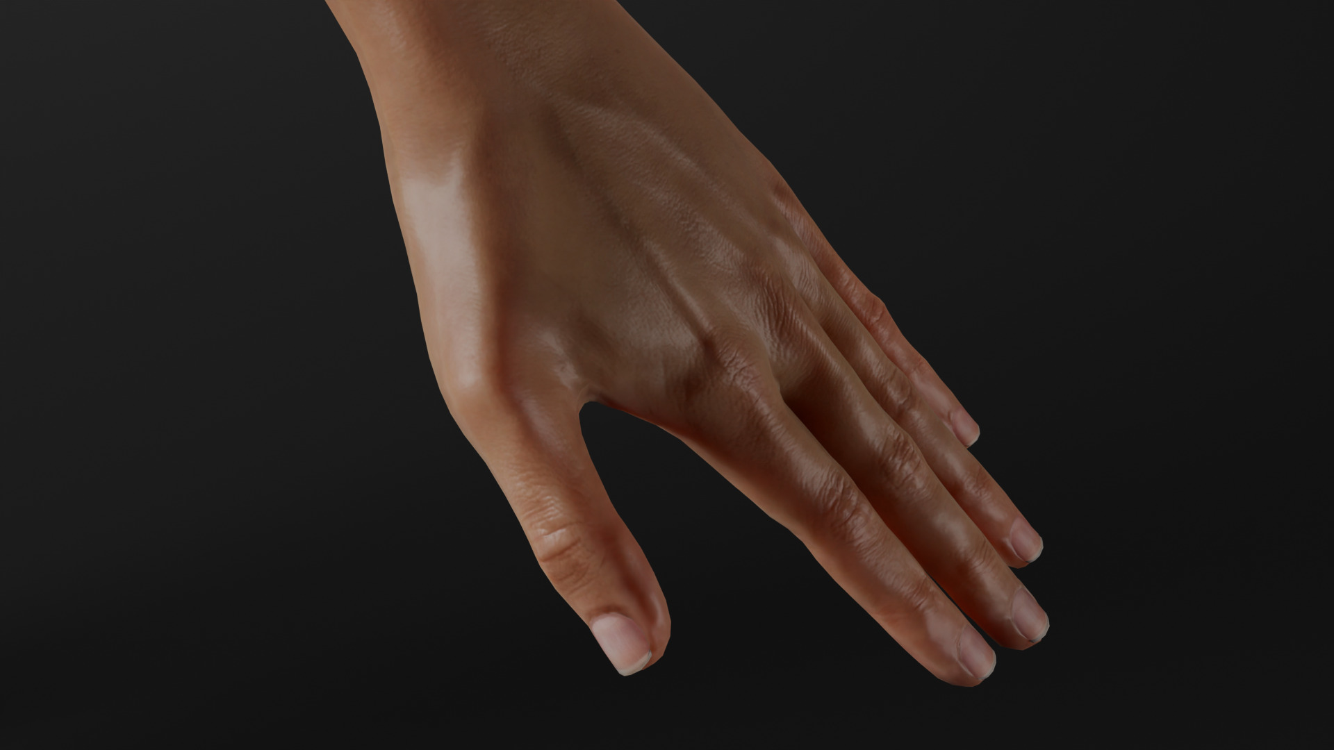 Realistic - Women Base Mesh 3D model_7