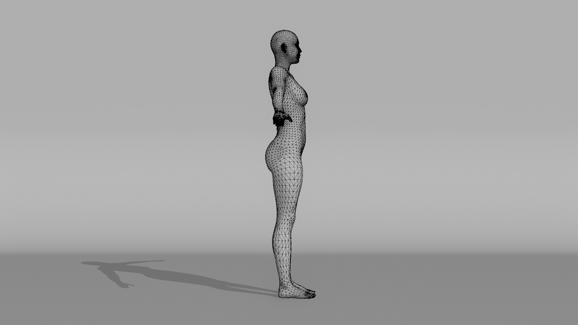 Realistic - Women Base Mesh 3D model_21