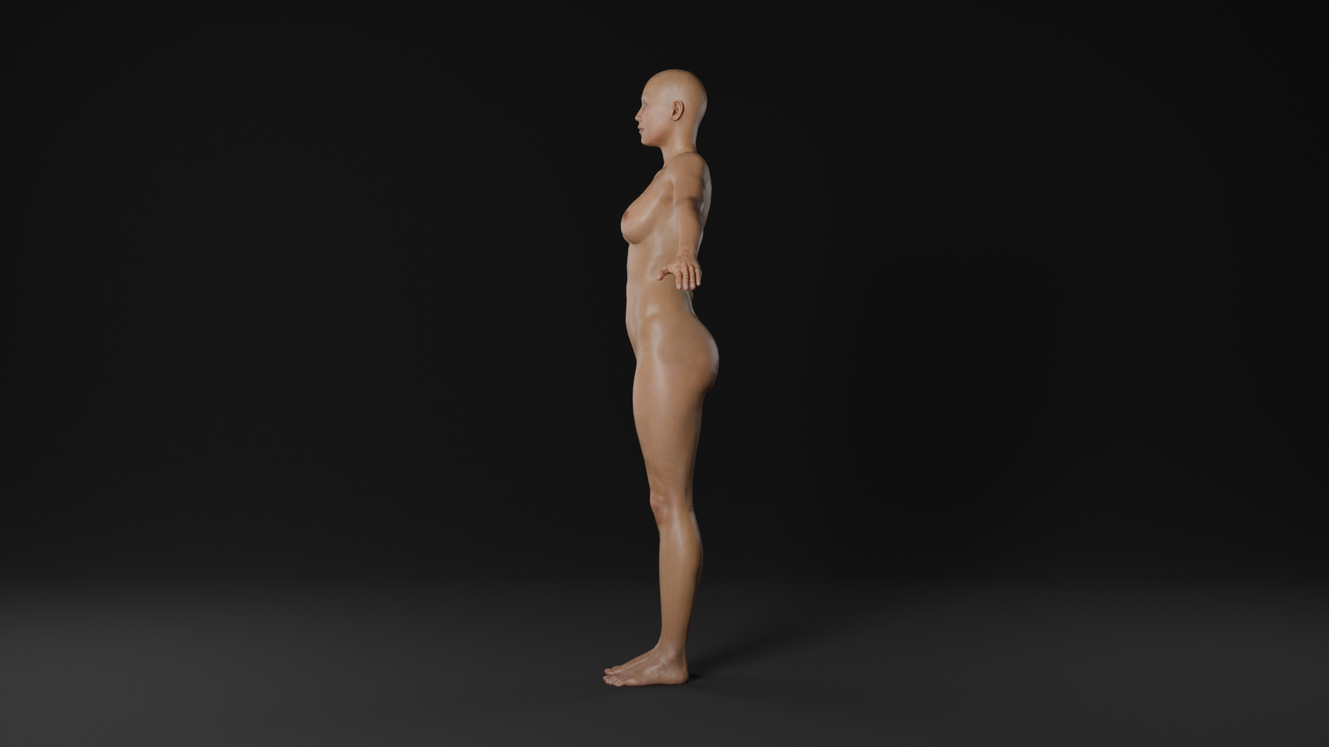 Realistic - Women Base Mesh 3D model_5