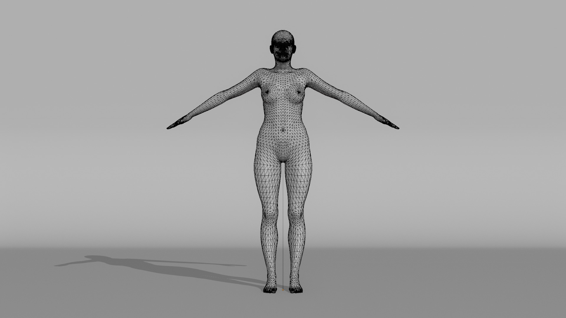 Realistic - Women Base Mesh 3D model_20