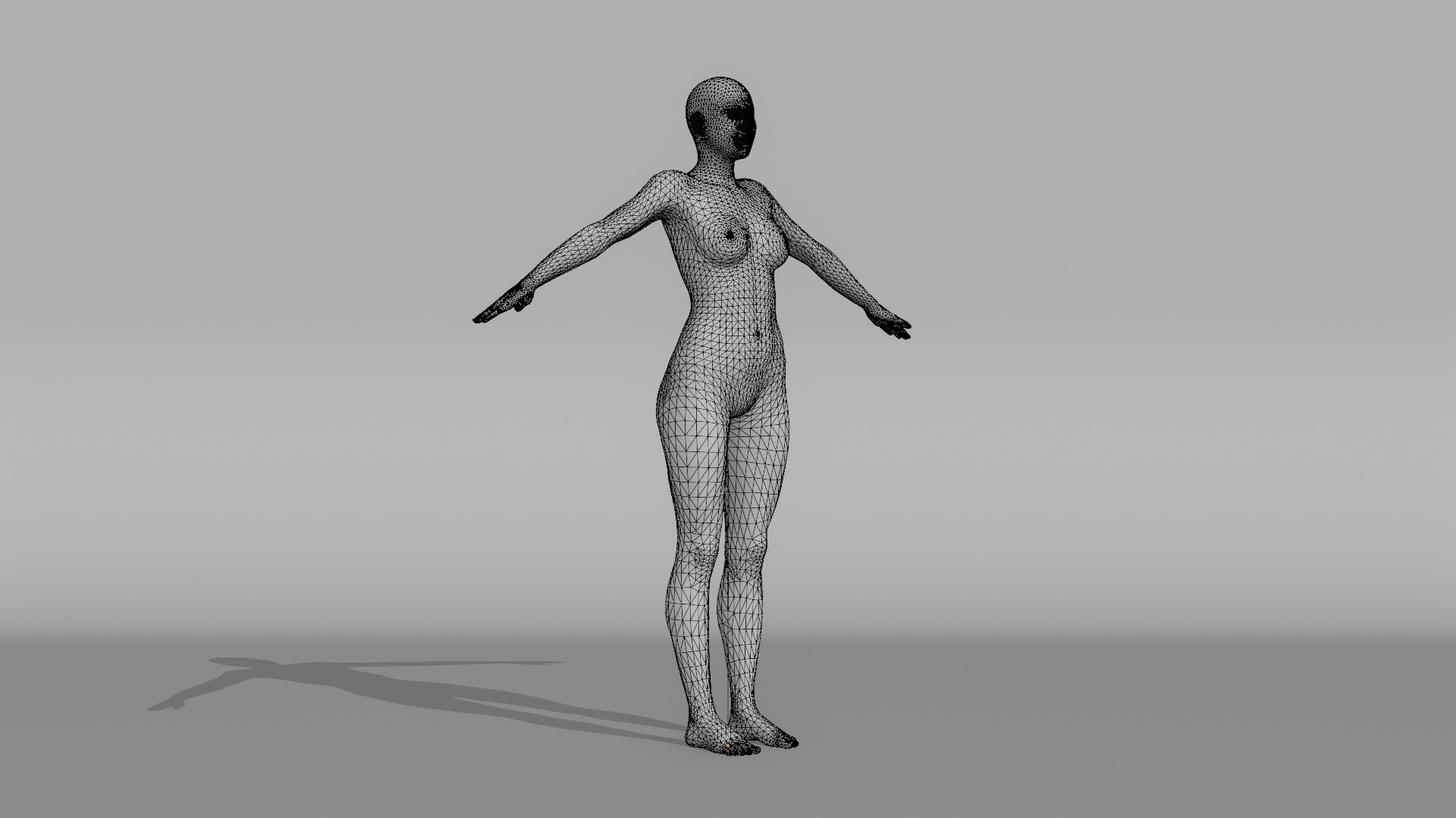 Realistic - Women Base Mesh 3D model_19