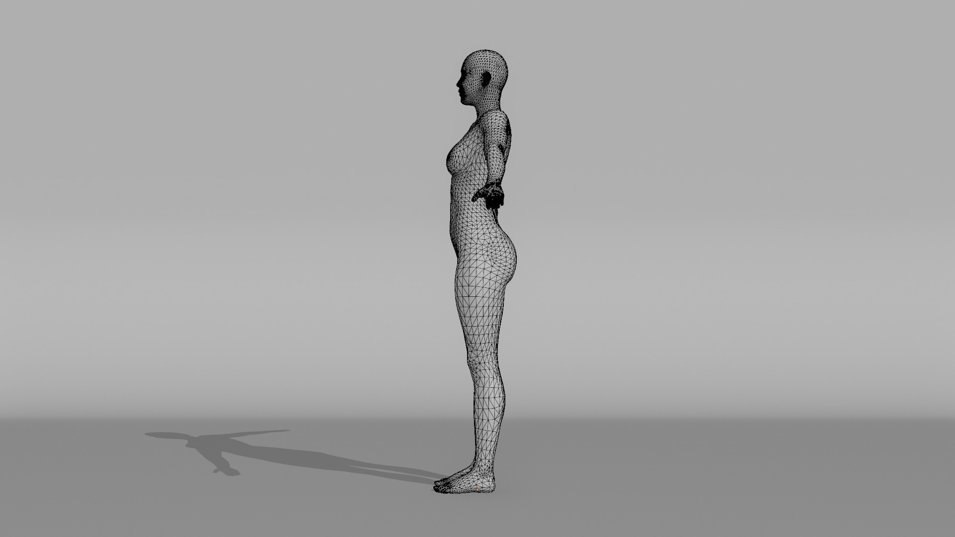 Realistic - Women Base Mesh 3D model_23