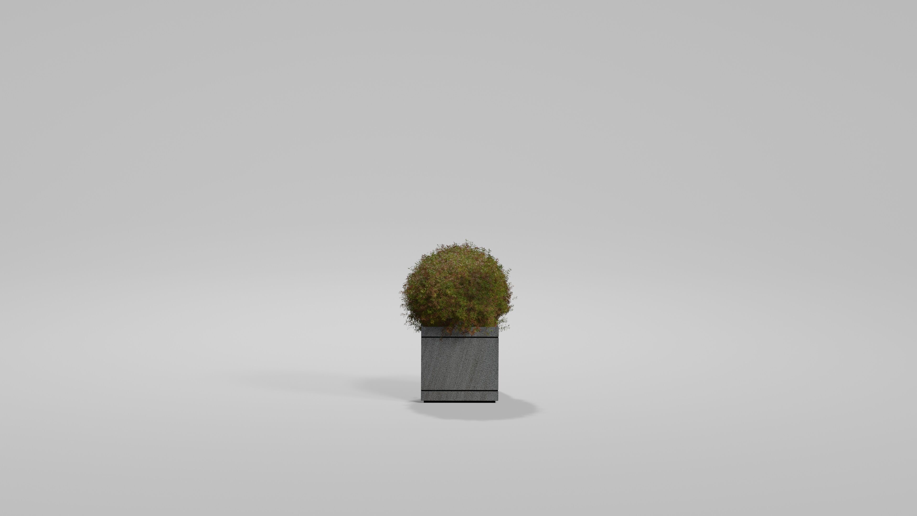 Bushes Pack 2 Blender 3D model_7