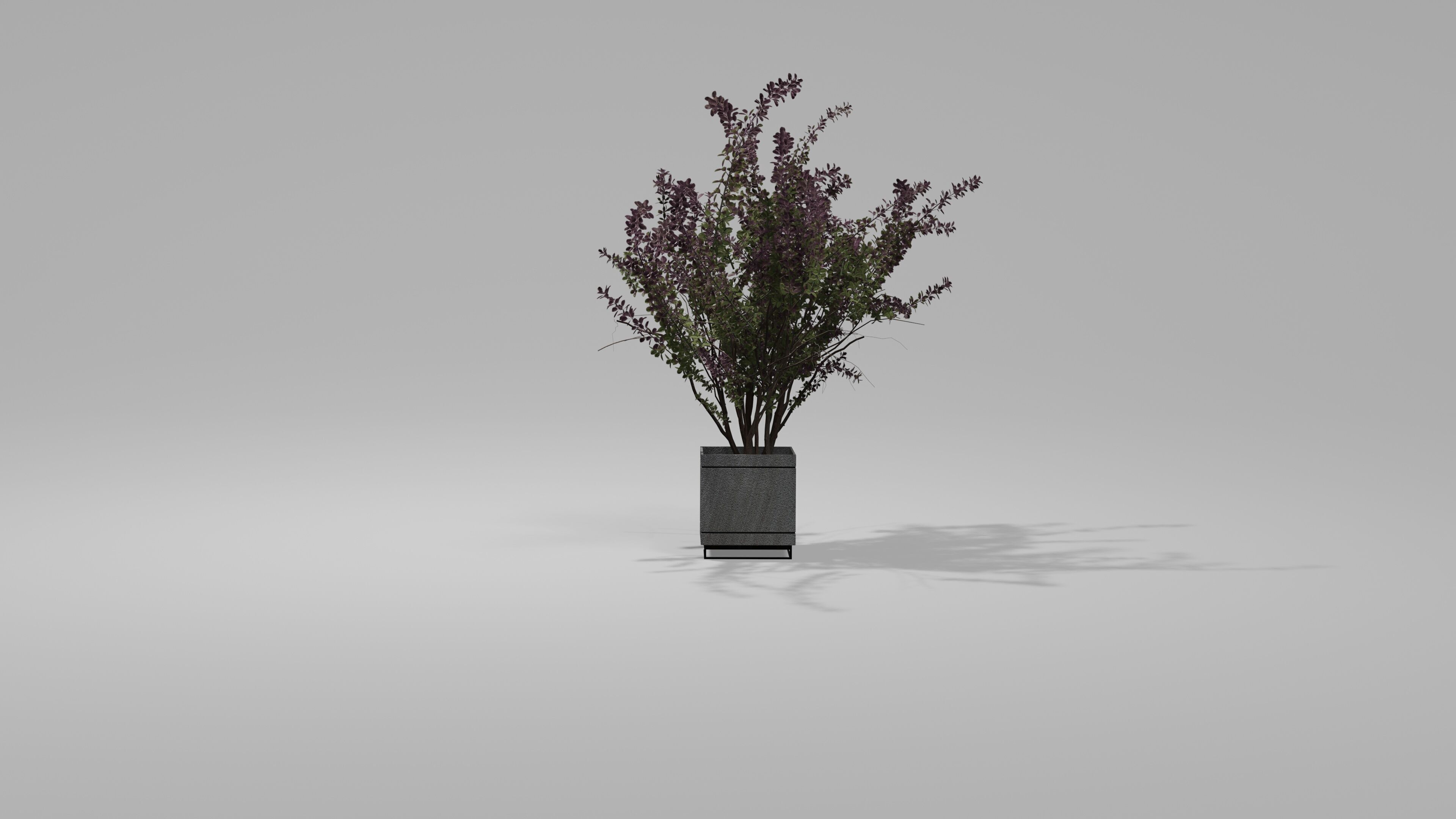Bushes Pack 2 Blender 3D model_5