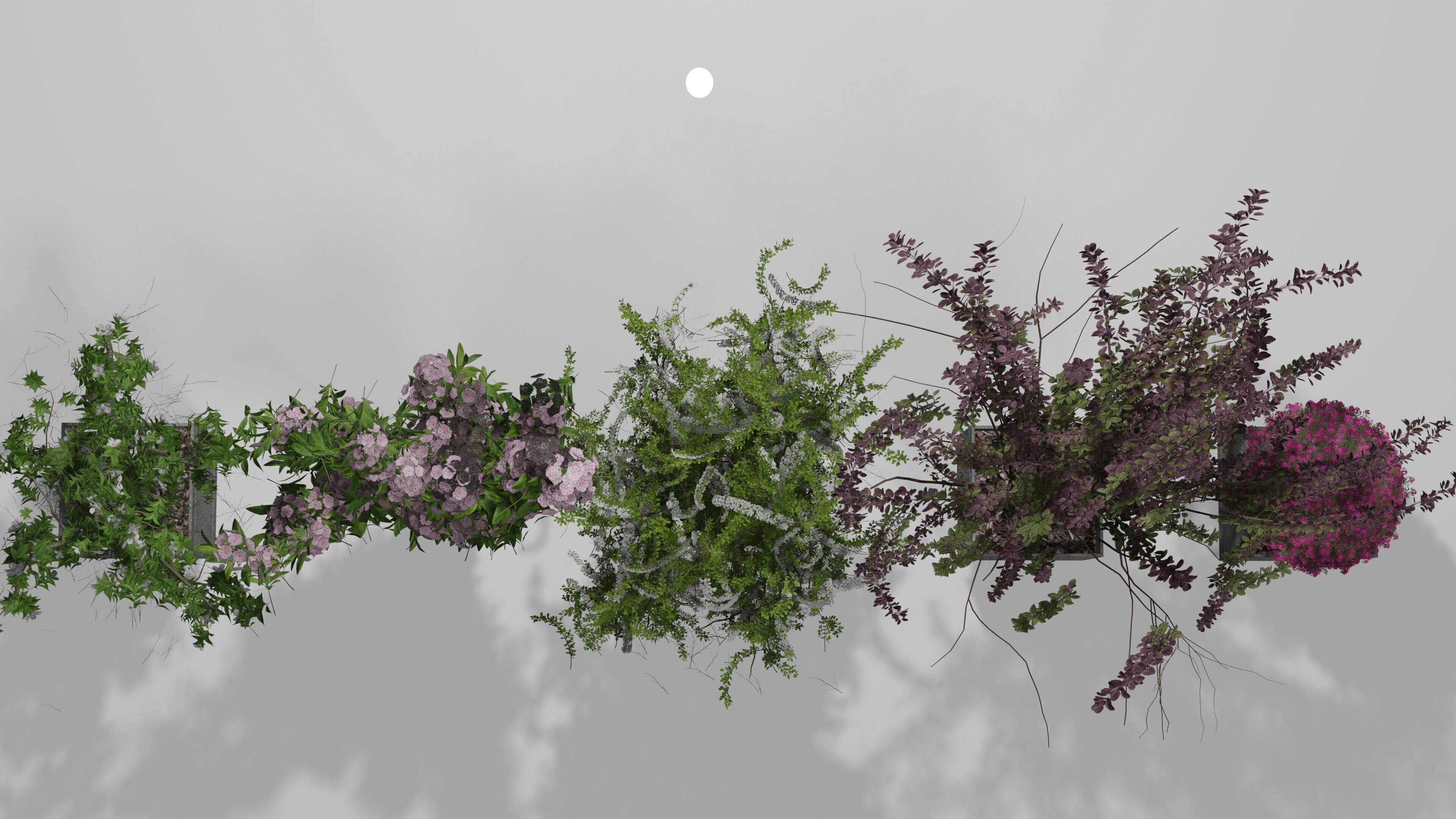 Bushes Pack 2 Blender 3D model_11