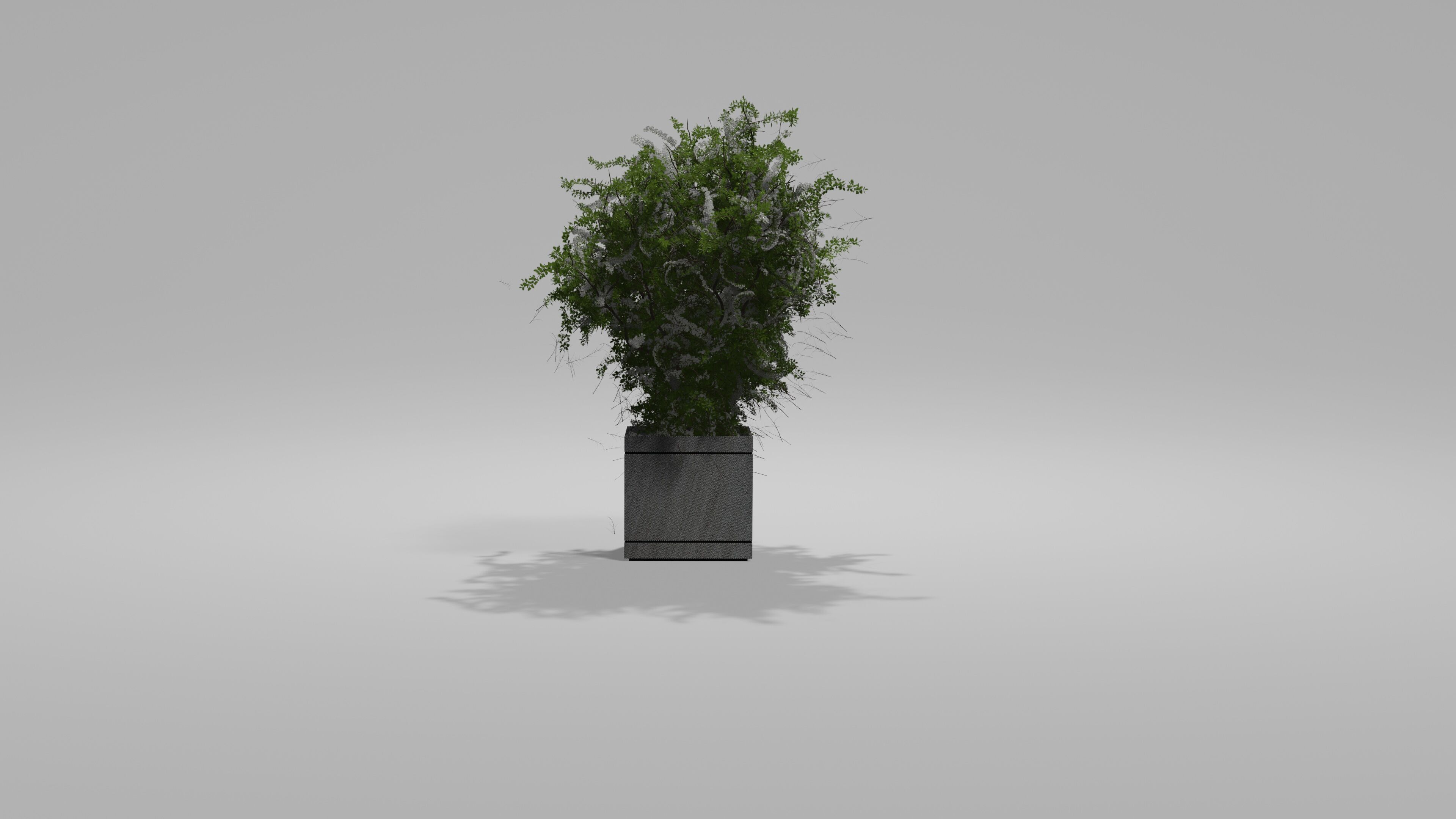 Bushes Pack 2 Blender 3D model_2