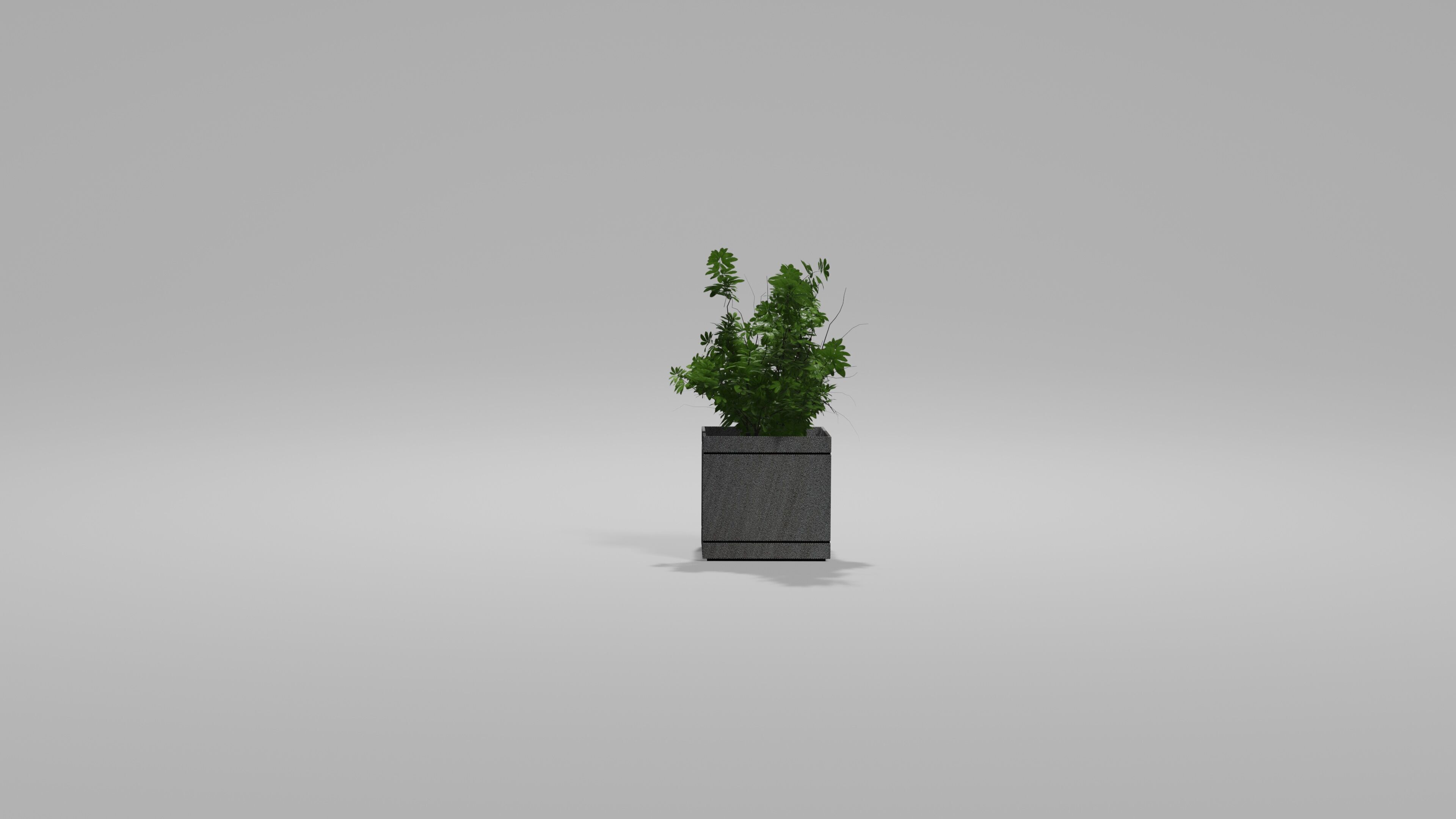 Bushes Pack 2 Blender 3D model_1