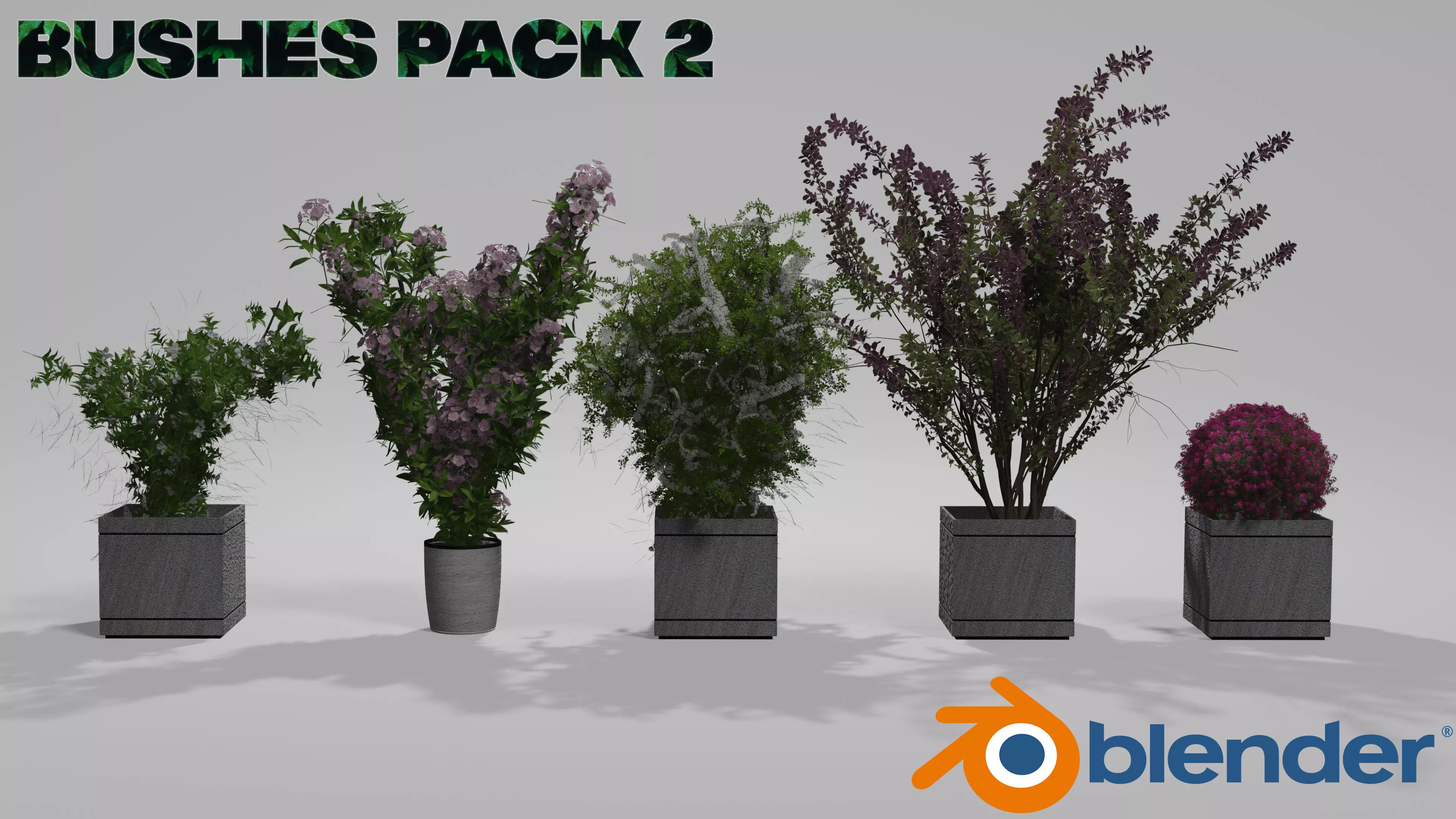 Bushes Pack 2 Blender 3D model_0