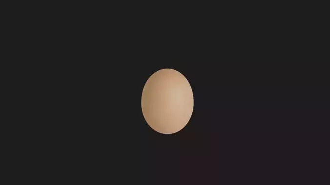 Chicken Egg