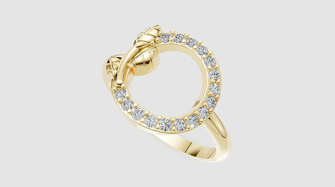 O Ring 3D print model