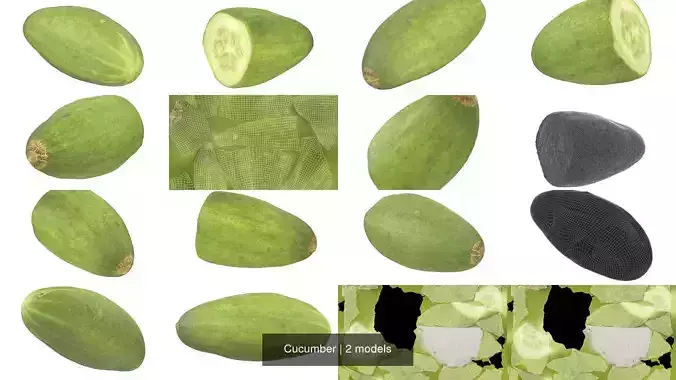 Cucumber