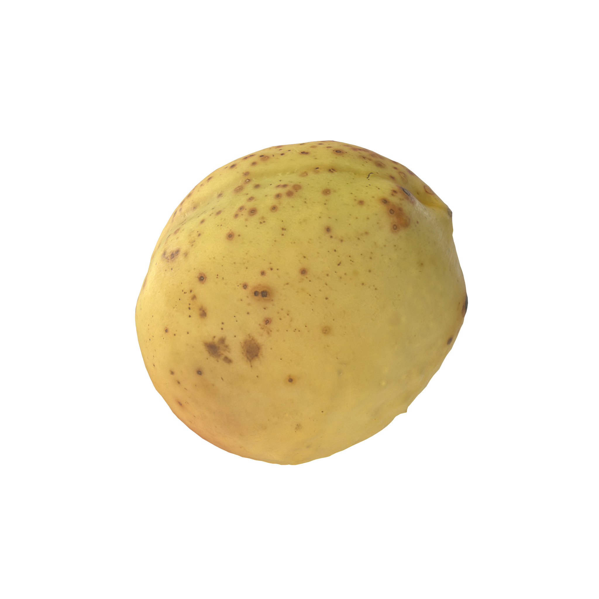 Apricot Low-poly 3D model_2