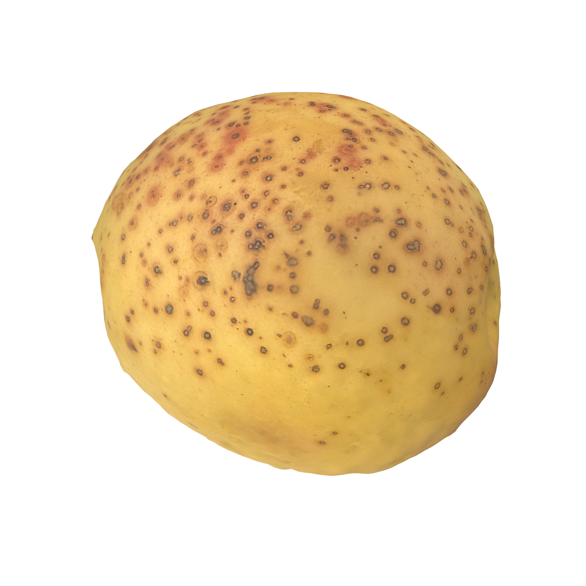 Apricot Low-poly 3D model_4